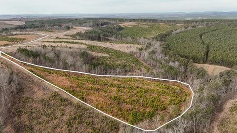Photo of 0 State Rt 399 Lot 13, Dunlap, TN 37327 (MLS # 1536556)