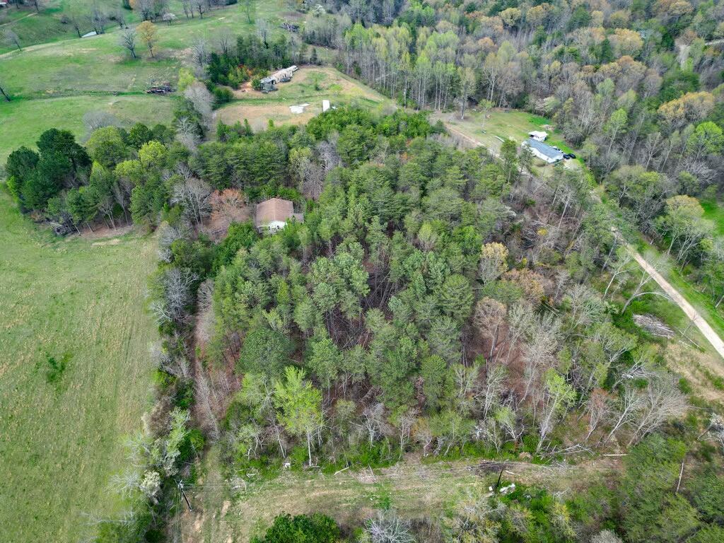 277/208 Cox Lane, Dayton, Tennessee image 8