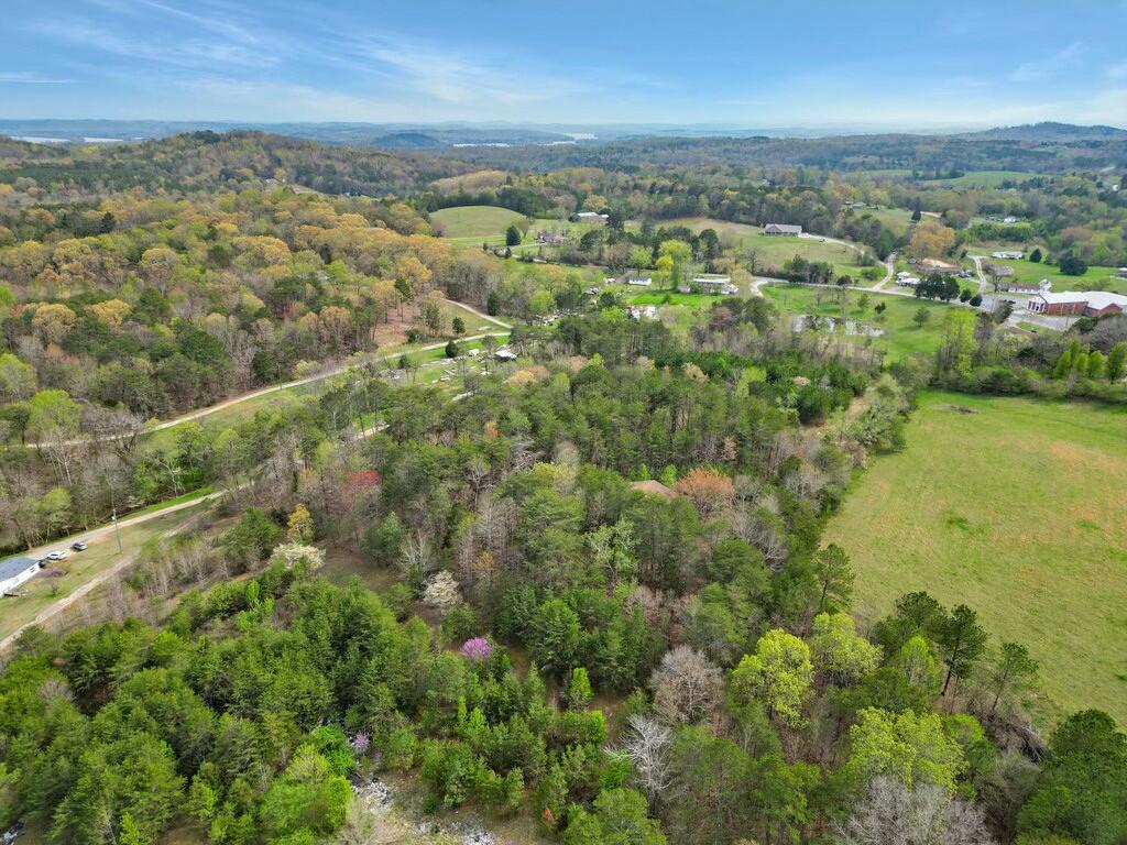 277/208 Cox Lane, Dayton, Tennessee image 6