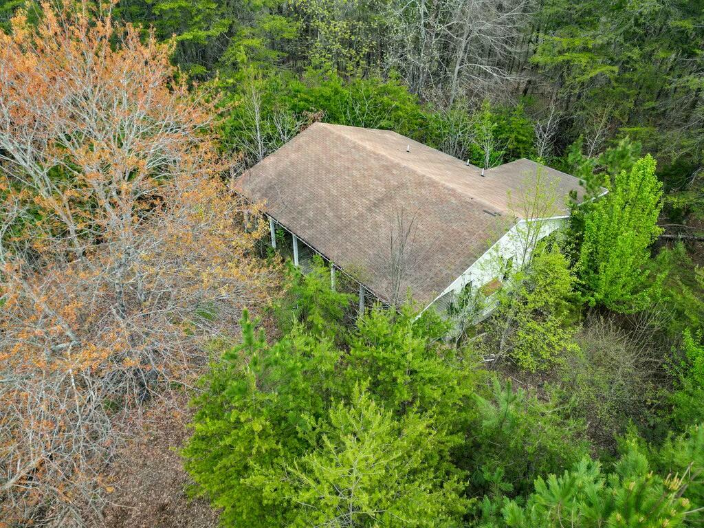 277/208 Cox Lane, Dayton, Tennessee image 5