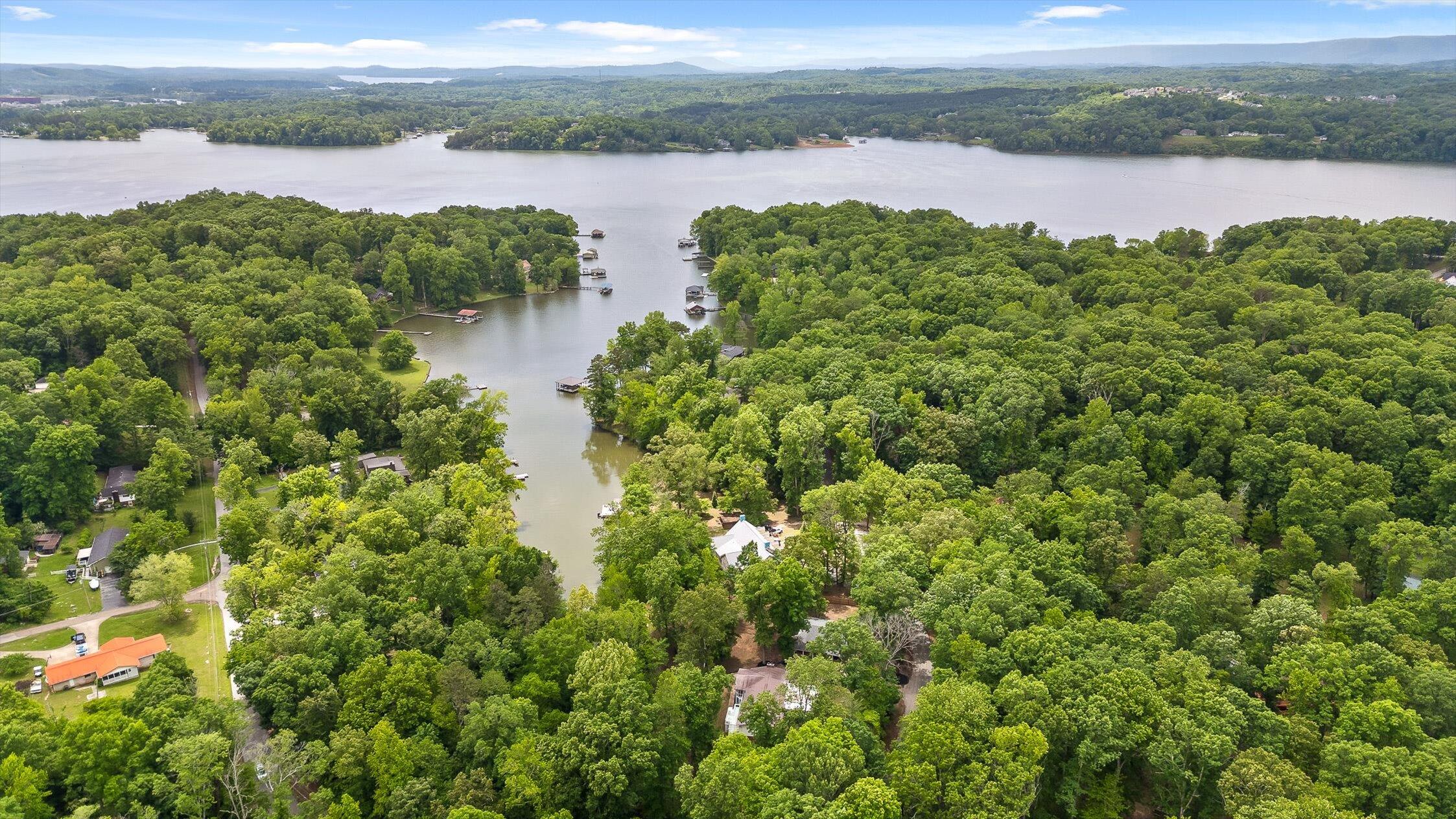 5920 Dogwood Drive, Harrison, Tennessee image 2