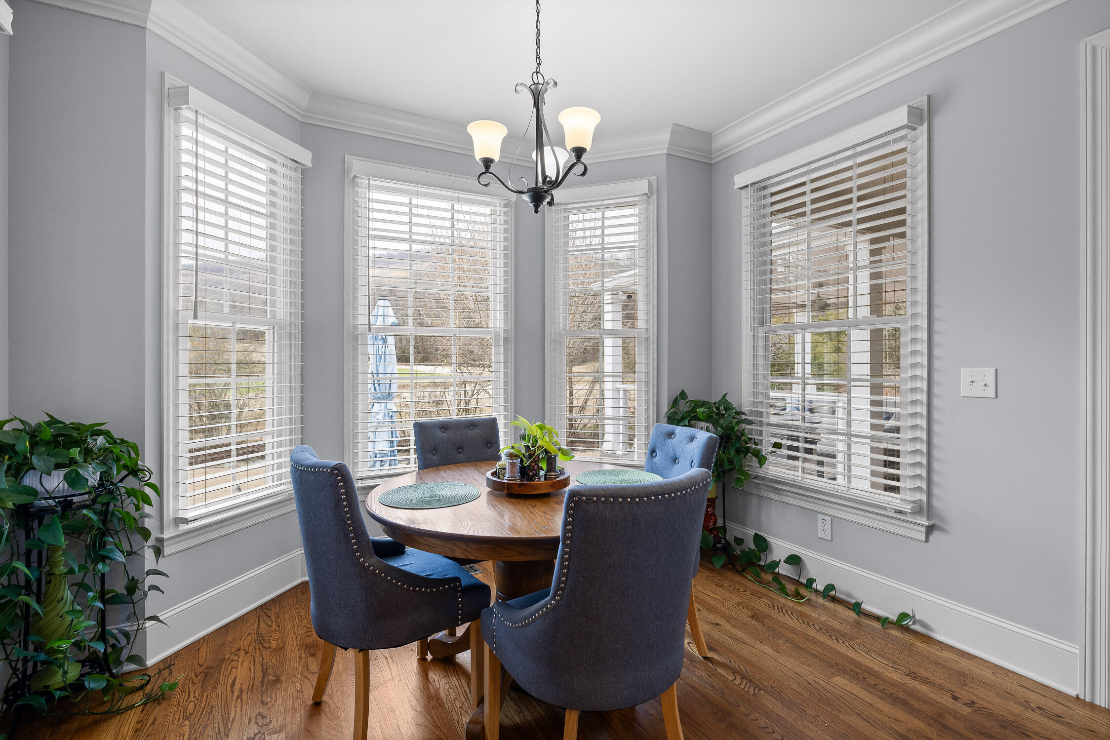 725 Black Creek Drive, Chattanooga, Tennessee image 14