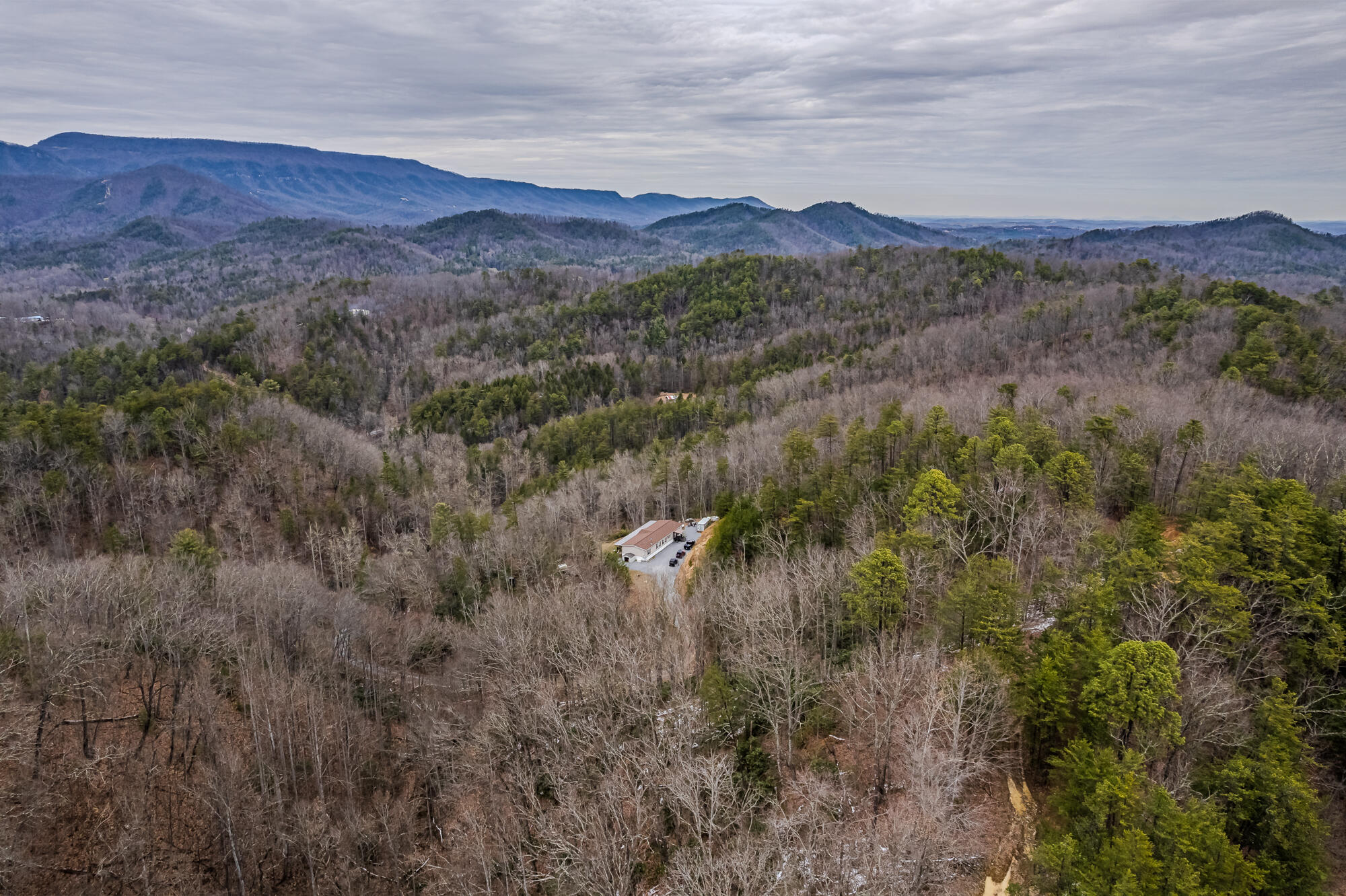 3674 Sourwood Way, Cosby, Tennessee image 33