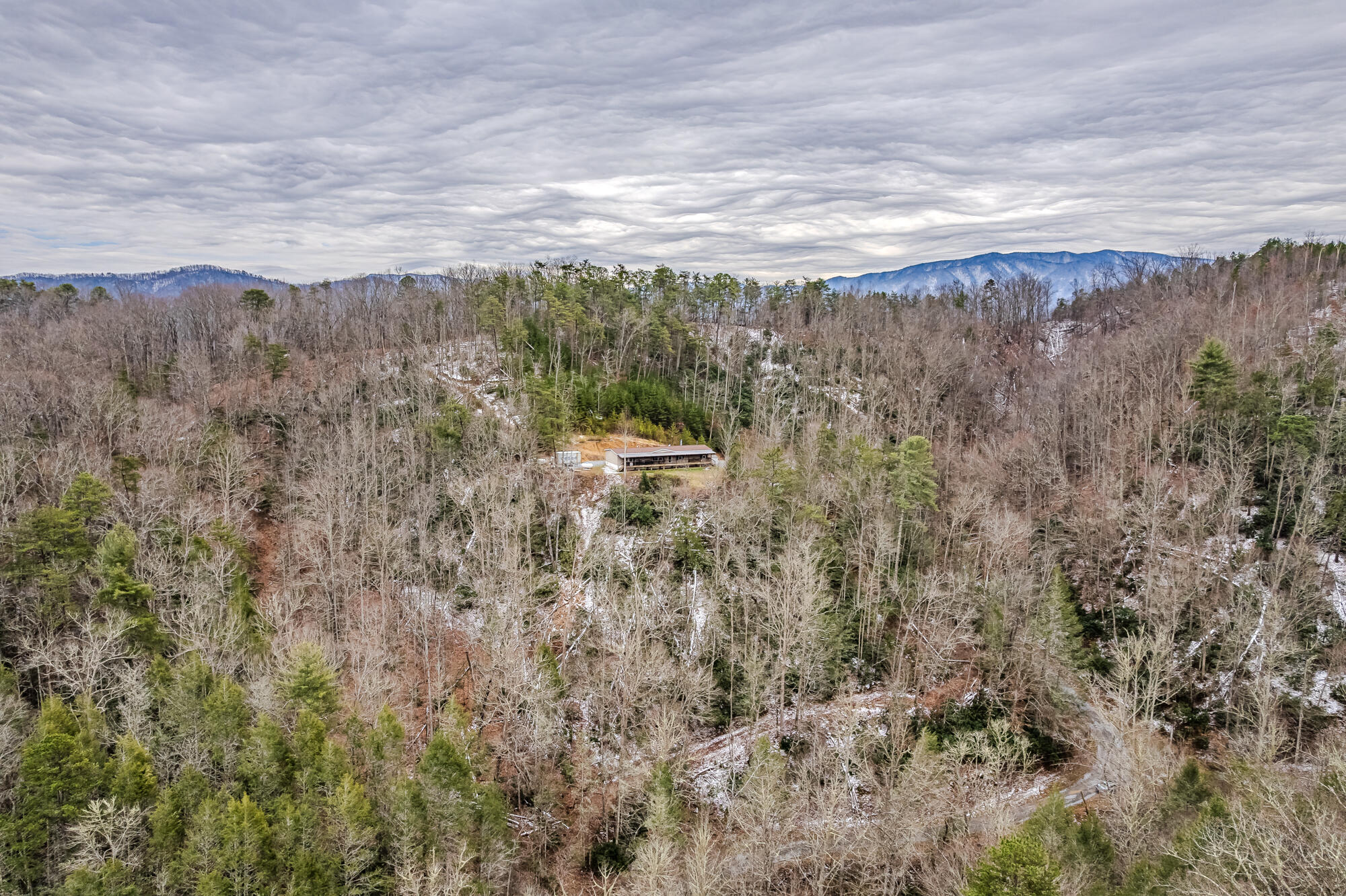 3674 Sourwood Way, Cosby, Tennessee image 34