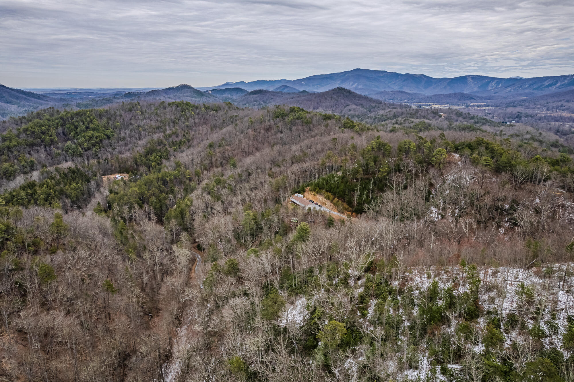 3674 Sourwood Way, Cosby, Tennessee image 3