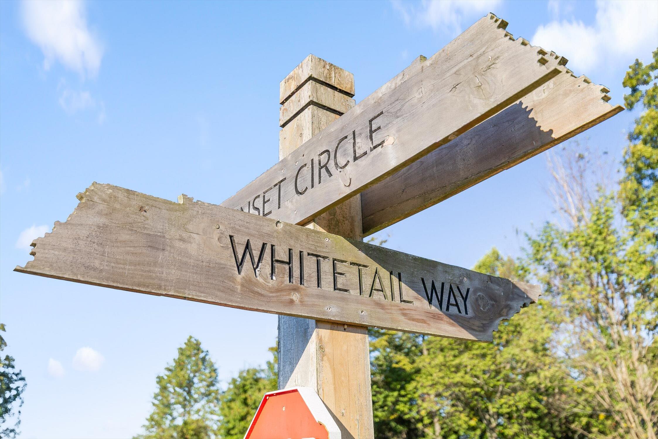 Jasper, Tennessee 37347, United States, ,Land,Active,234519