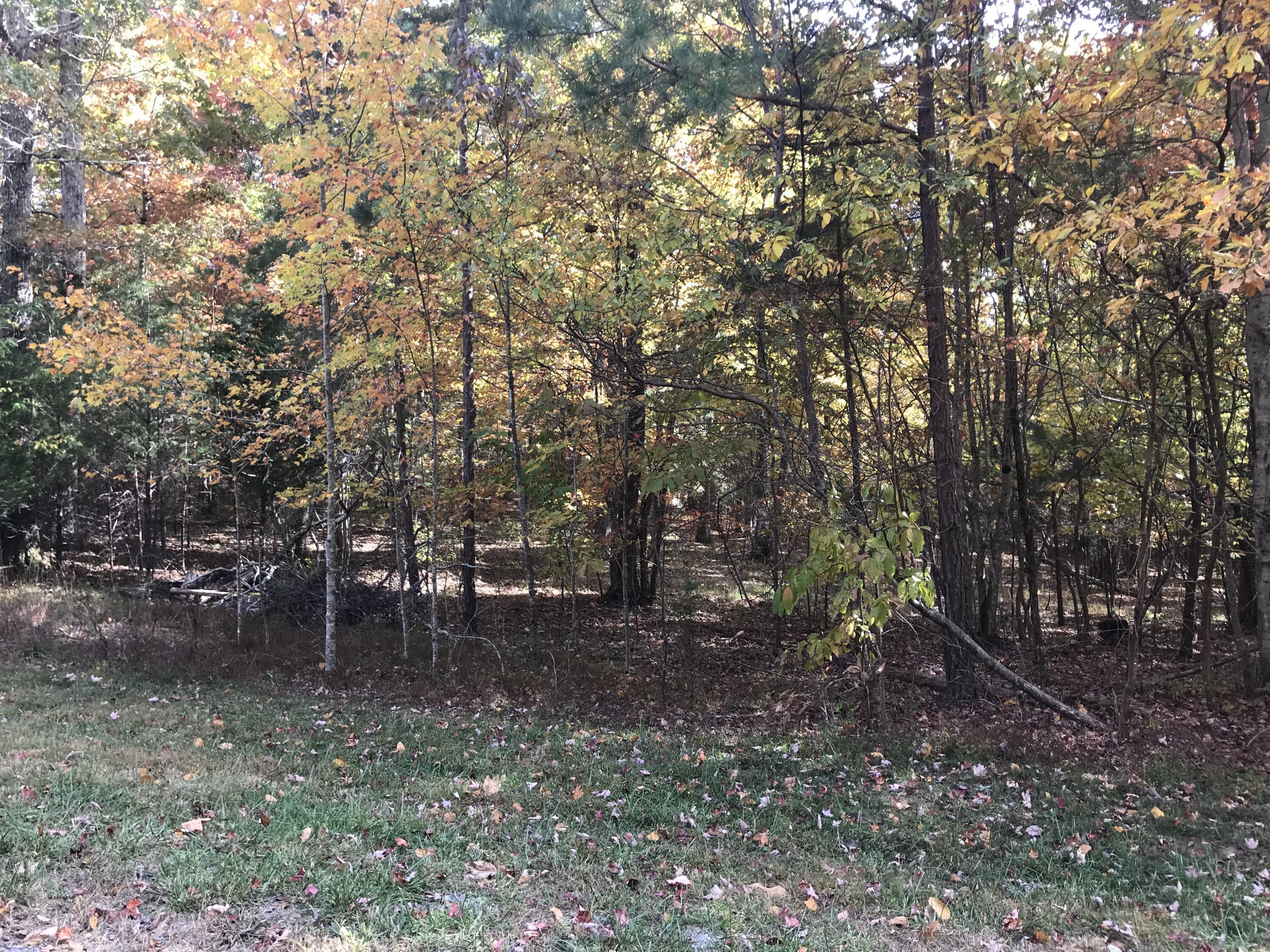 57 Deer Point Drive #57, Dunlap, Tennessee image 6