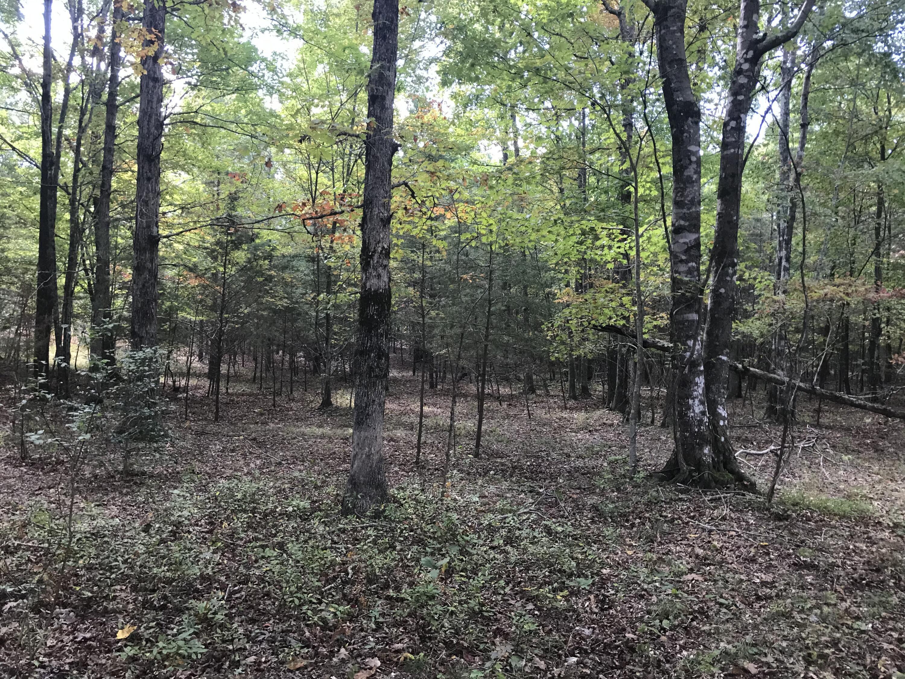 57 Deer Point Drive #57, Dunlap, Tennessee image 17