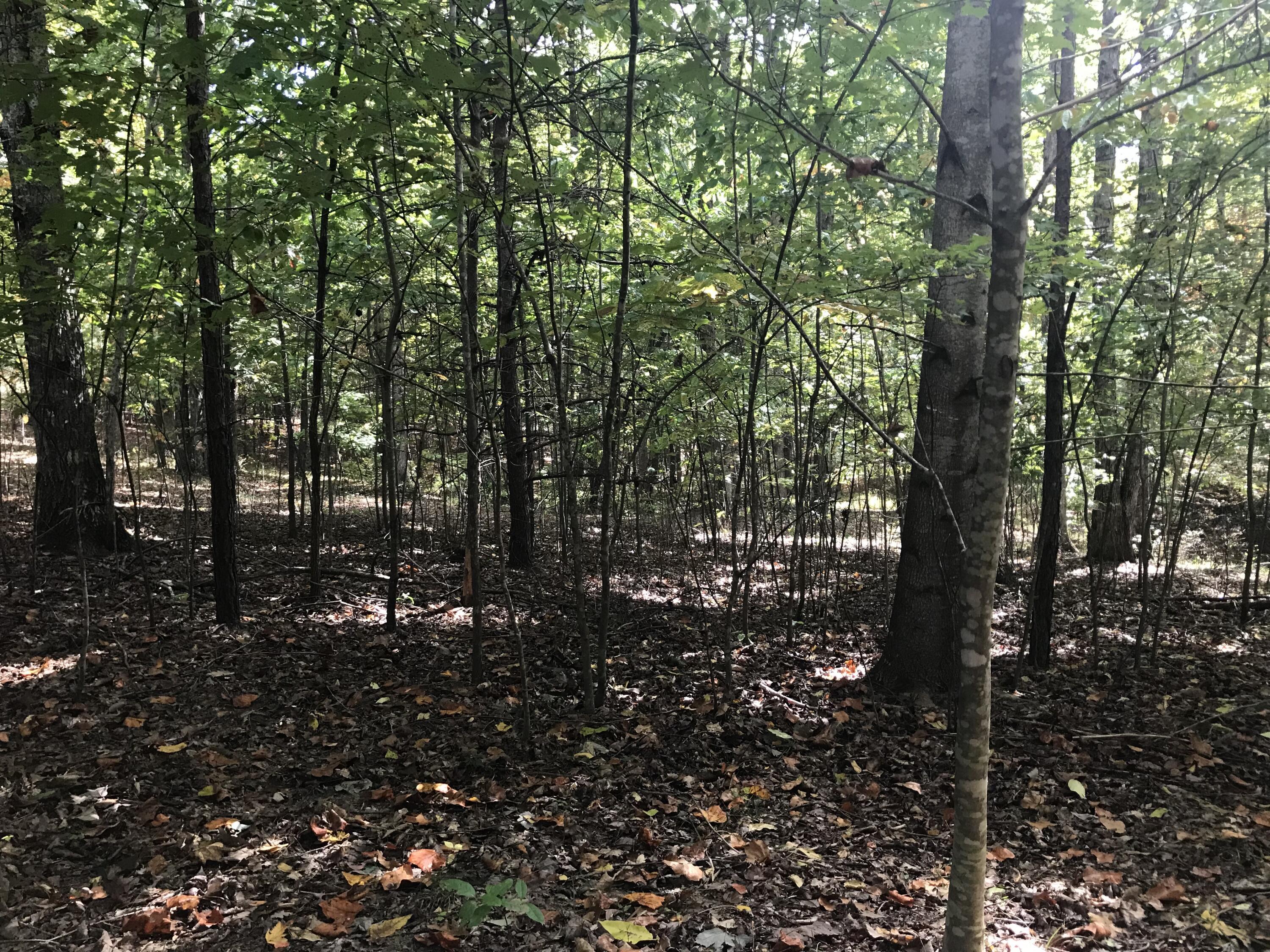 57 Deer Point Drive #57, Dunlap, Tennessee image 19