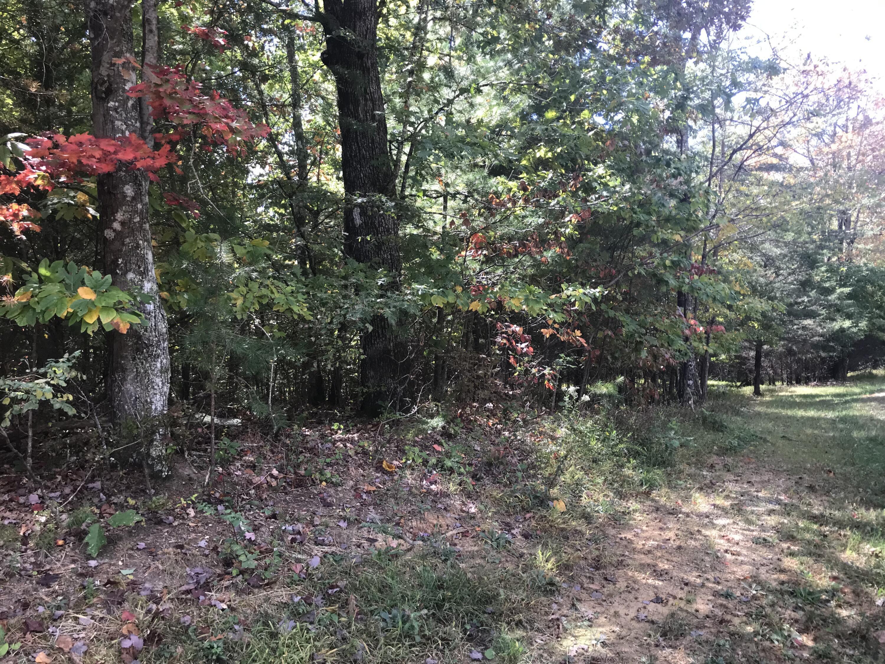 57 Deer Point Drive #57, Dunlap, Tennessee image 18