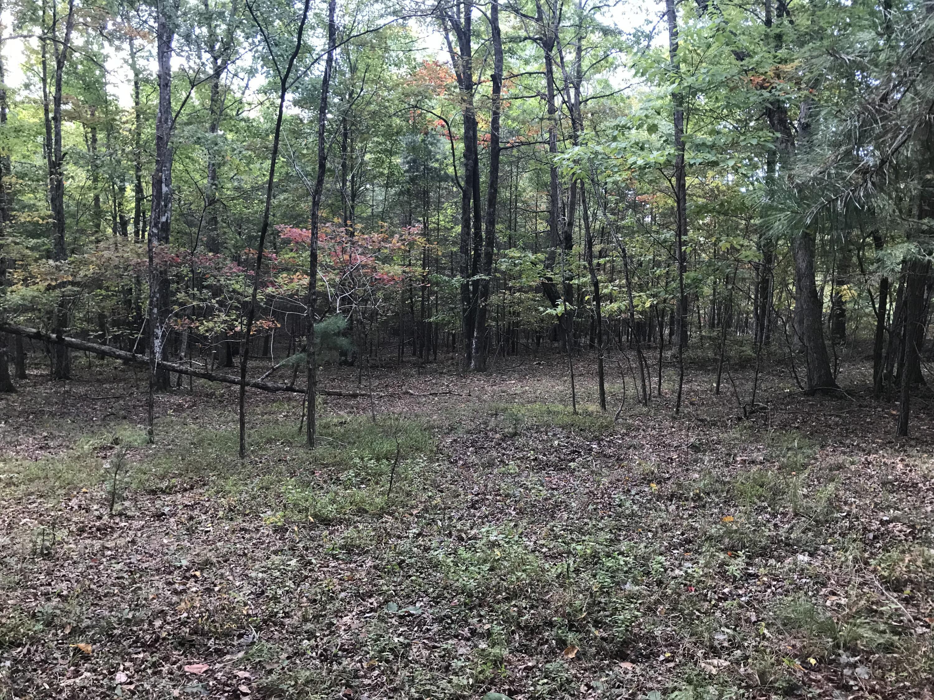 57 Deer Point Drive #57, Dunlap, Tennessee image 3