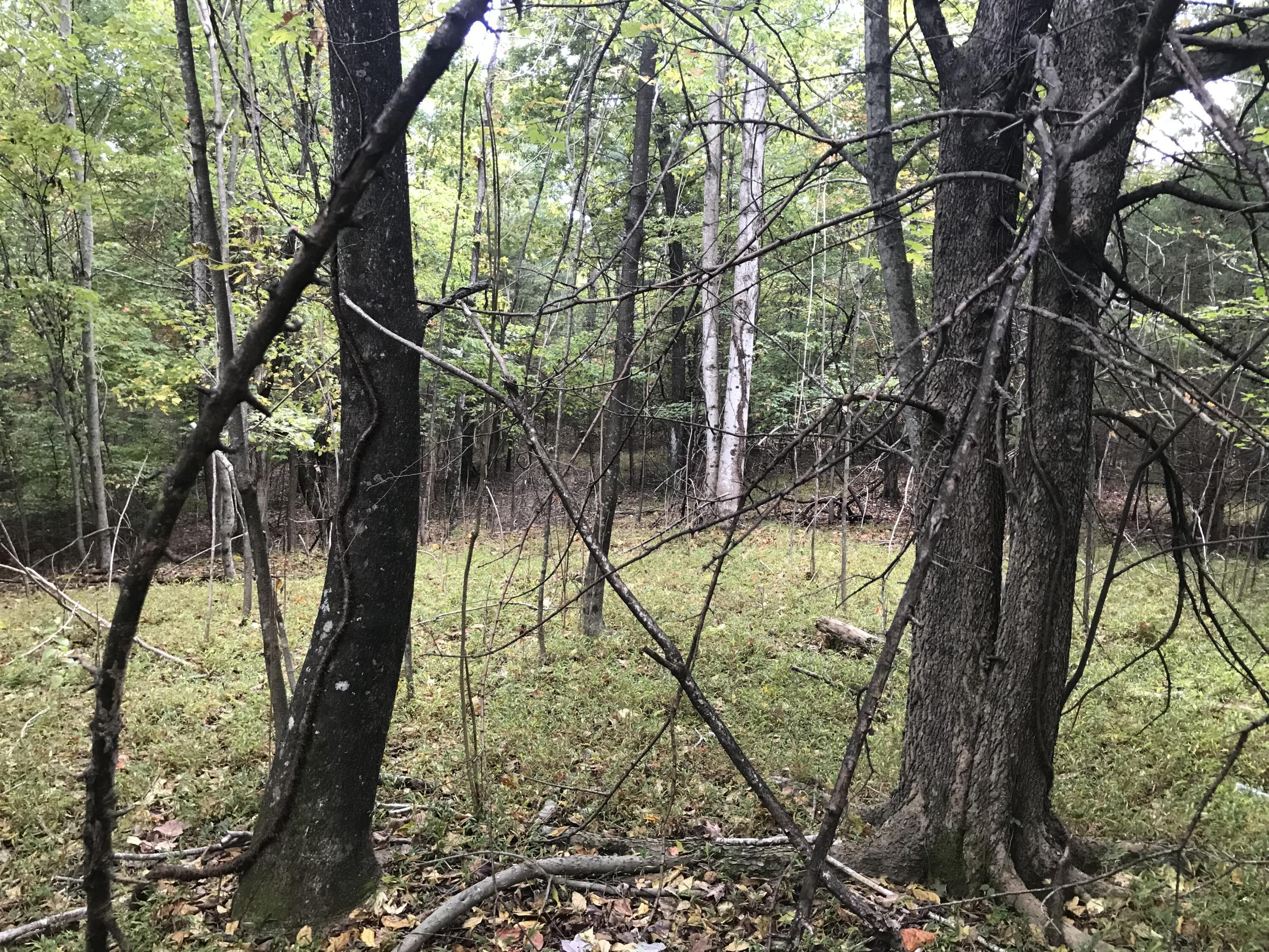 57 Deer Point Drive #57, Dunlap, Tennessee image 12
