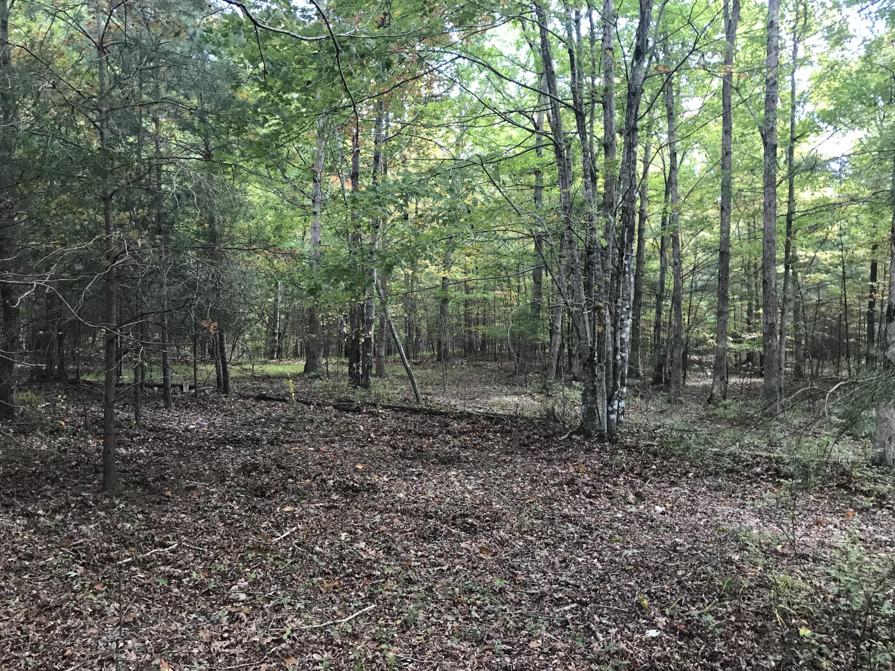57 Deer Point Drive #57, Dunlap, Tennessee image 2