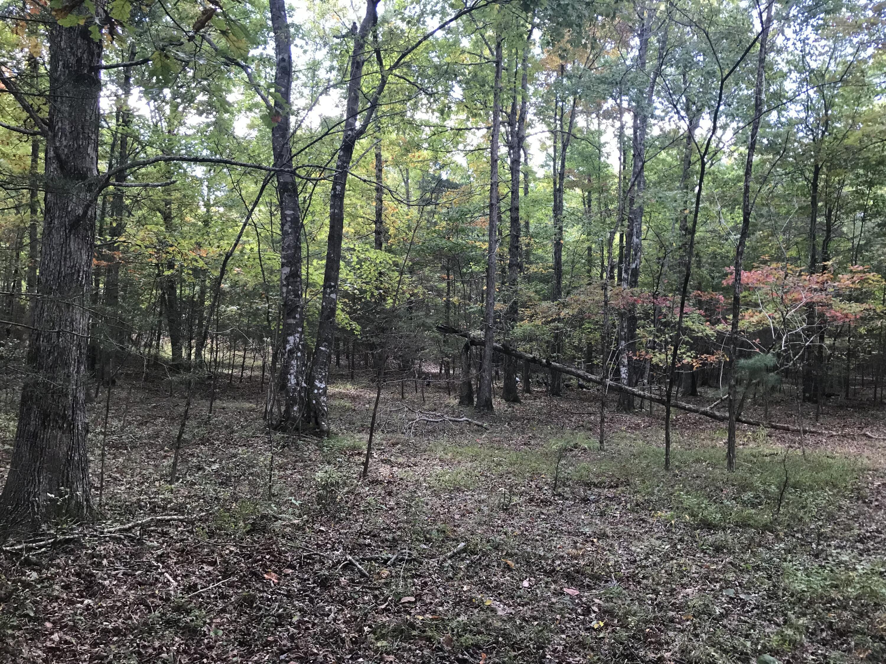57 Deer Point Drive #57, Dunlap, Tennessee image 5