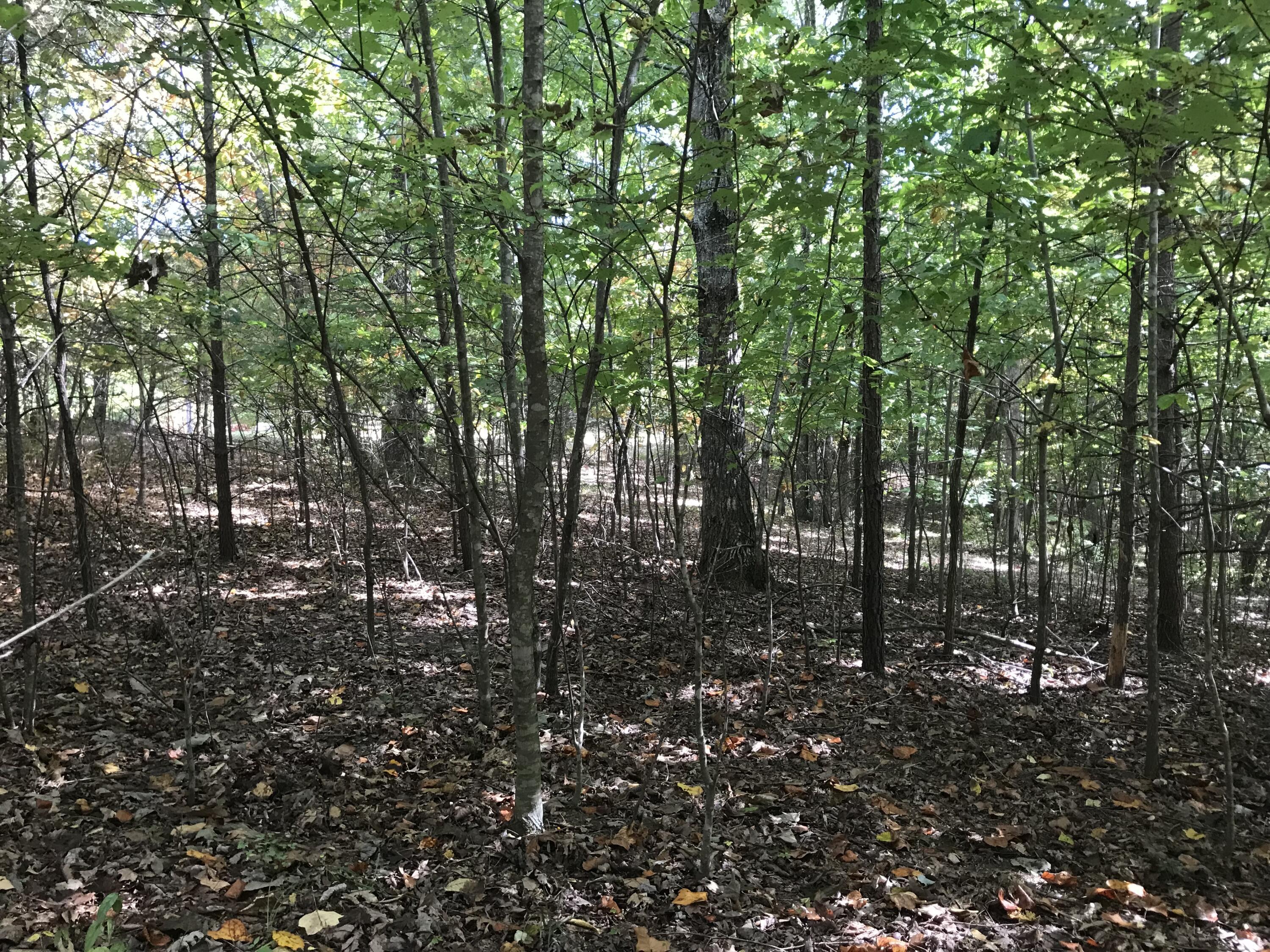 57 Deer Point Drive #57, Dunlap, Tennessee image 22