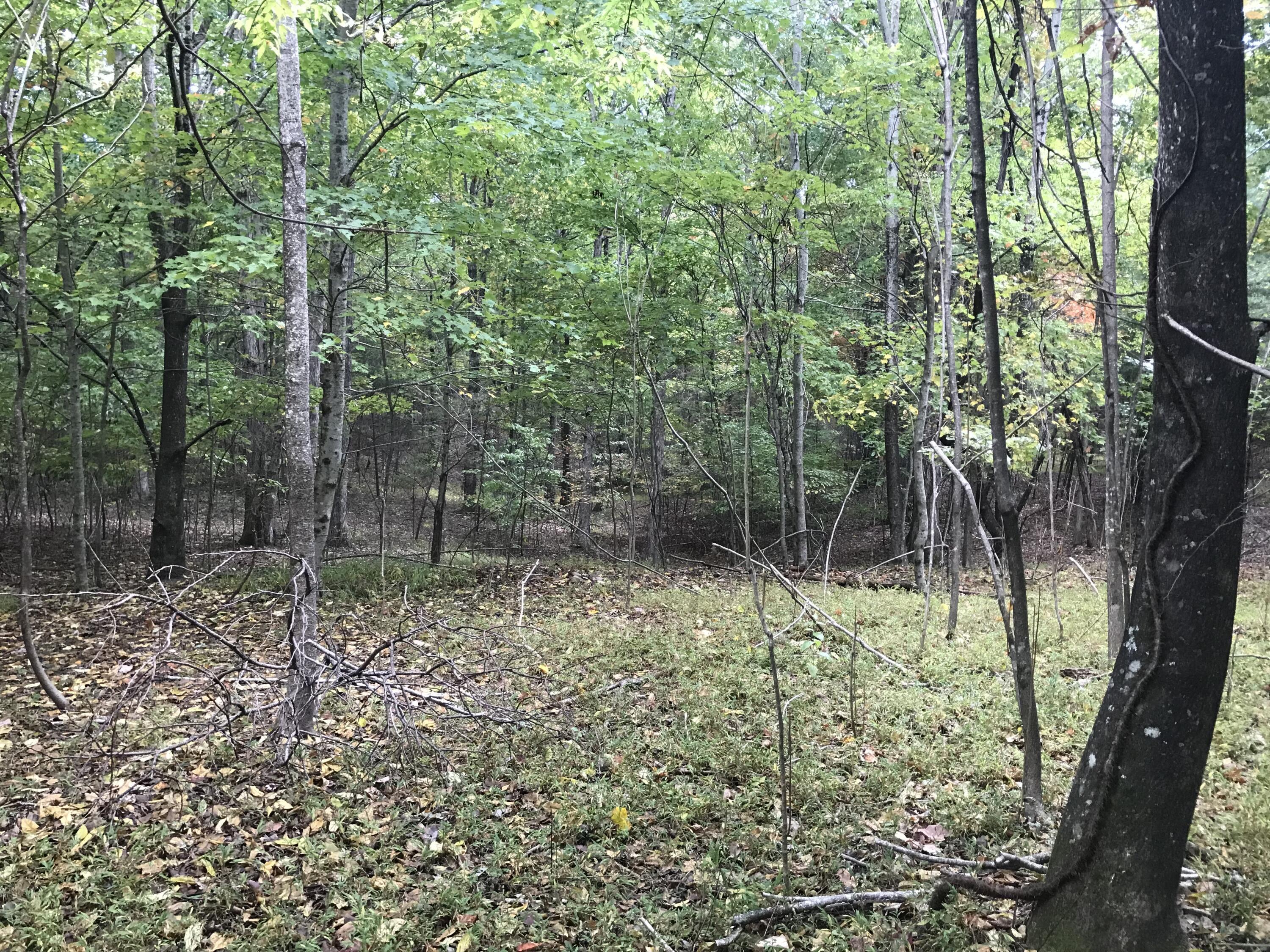 57 Deer Point Drive #57, Dunlap, Tennessee image 13