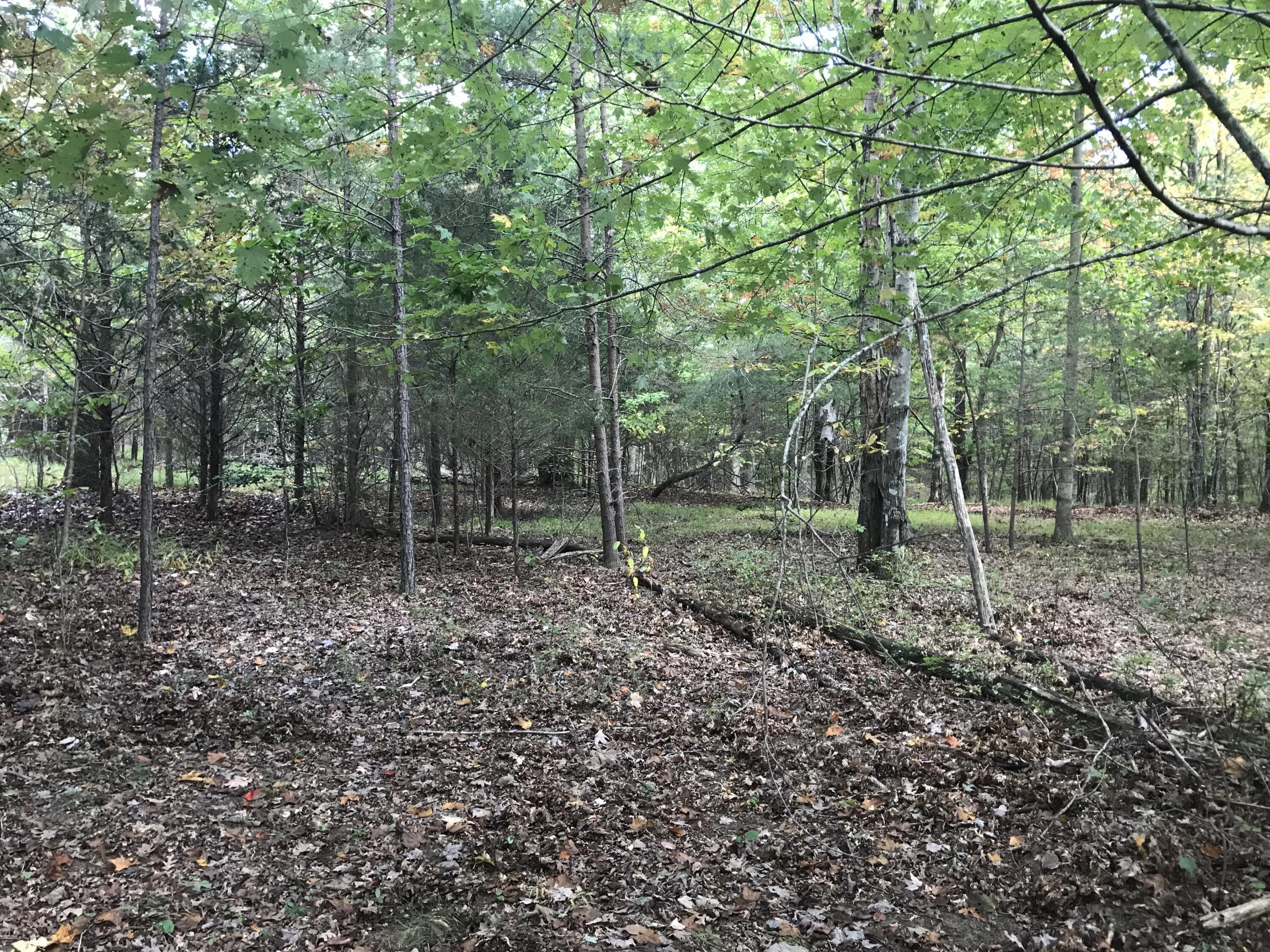 57 Deer Point Drive #57, Dunlap, Tennessee image 1
