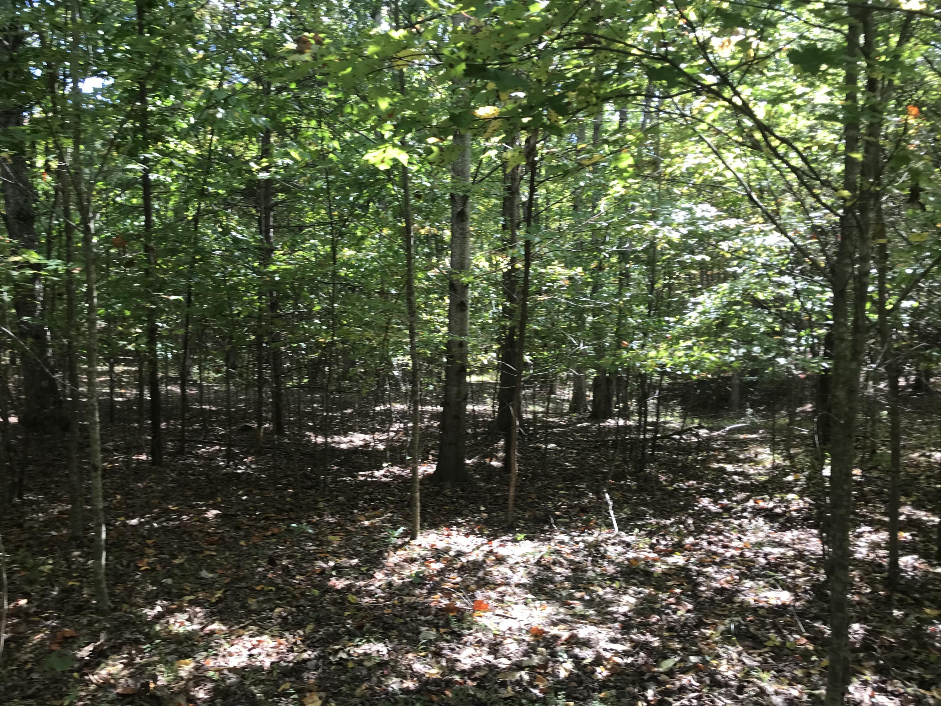 57 Deer Point Drive #57, Dunlap, Tennessee image 20
