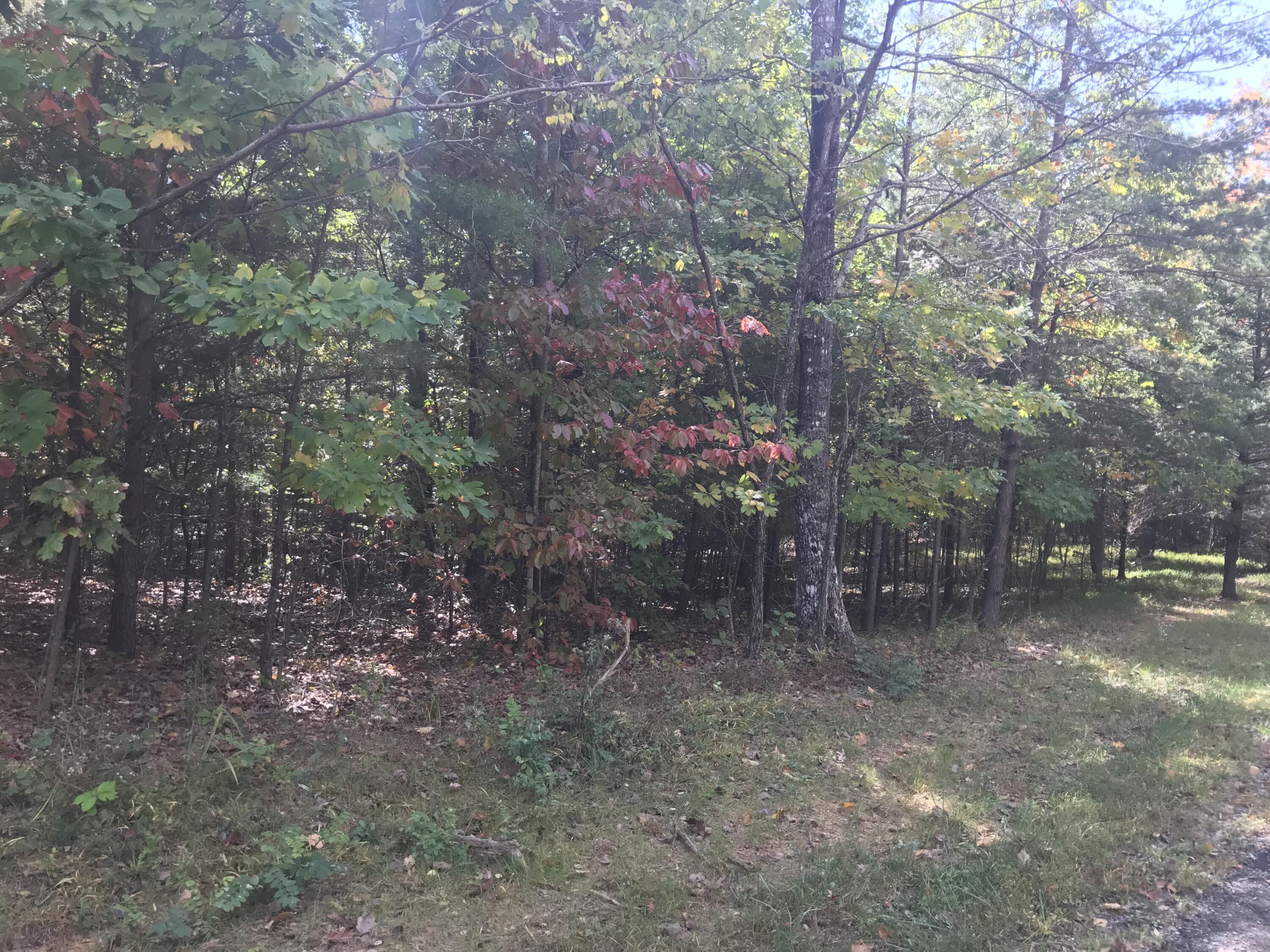 57 Deer Point Drive #57, Dunlap, Tennessee image 9