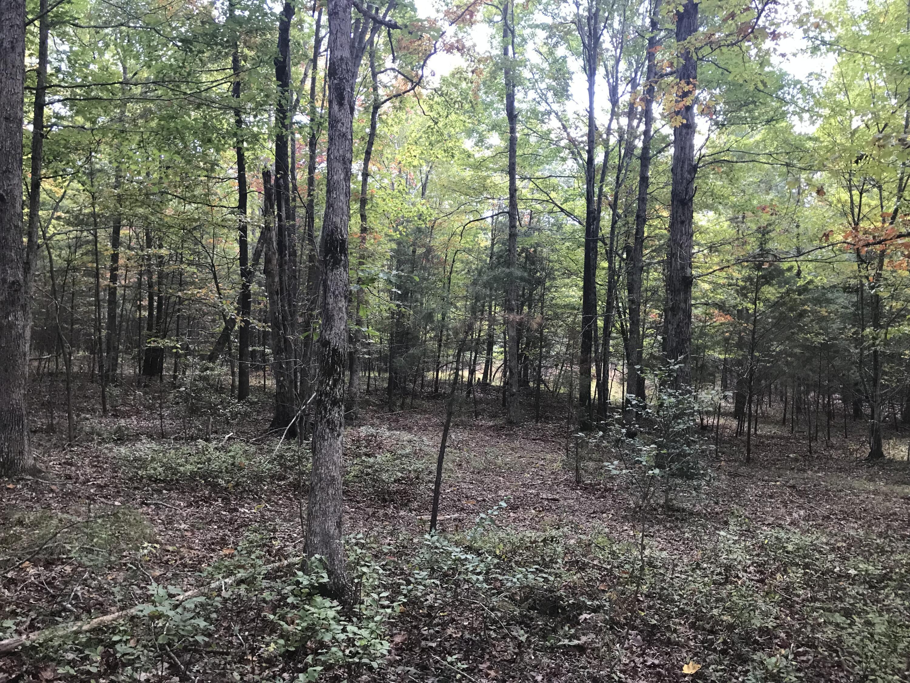 57 Deer Point Drive #57, Dunlap, Tennessee image 8