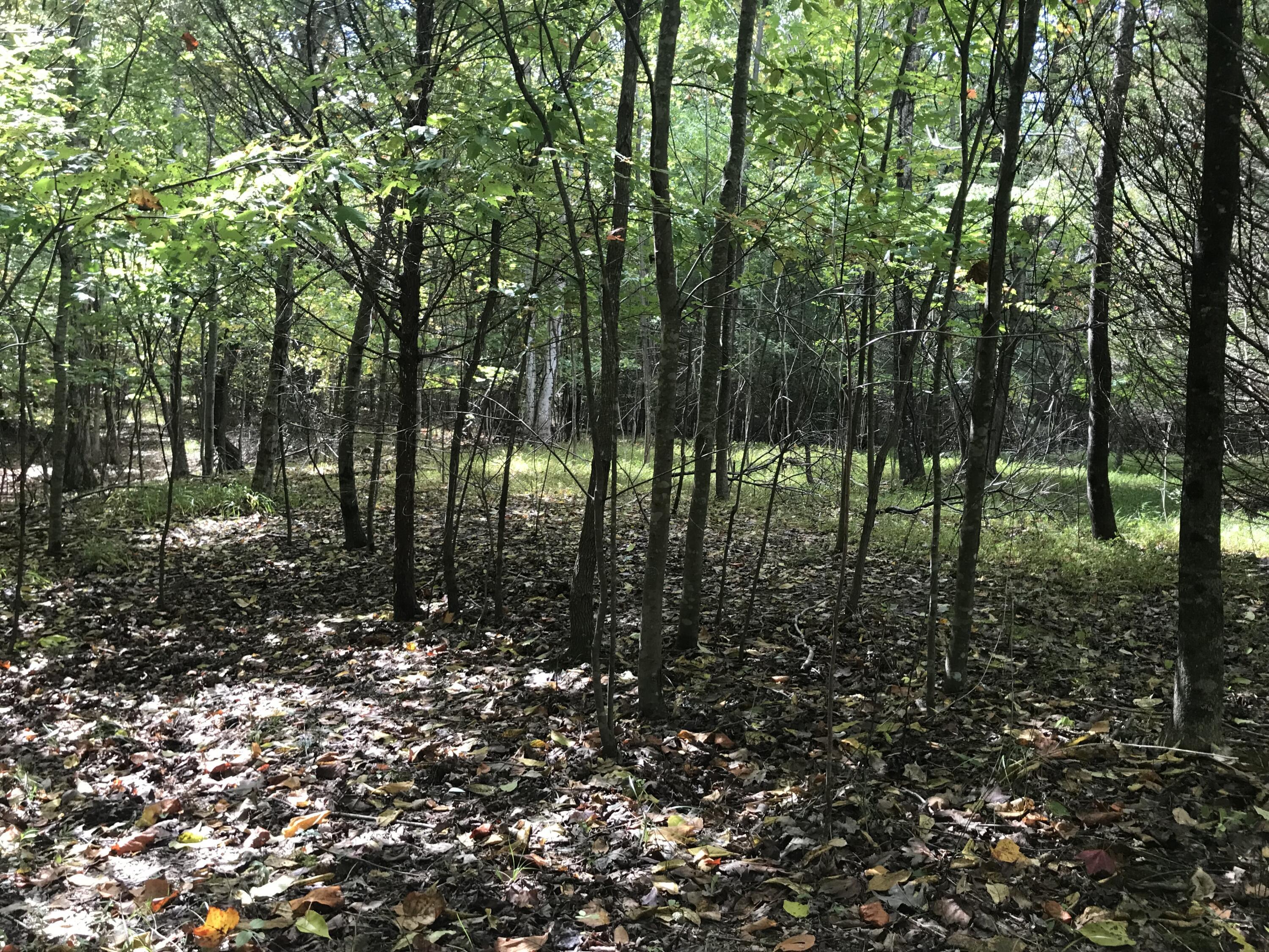 57 Deer Point Drive #57, Dunlap, Tennessee image 11