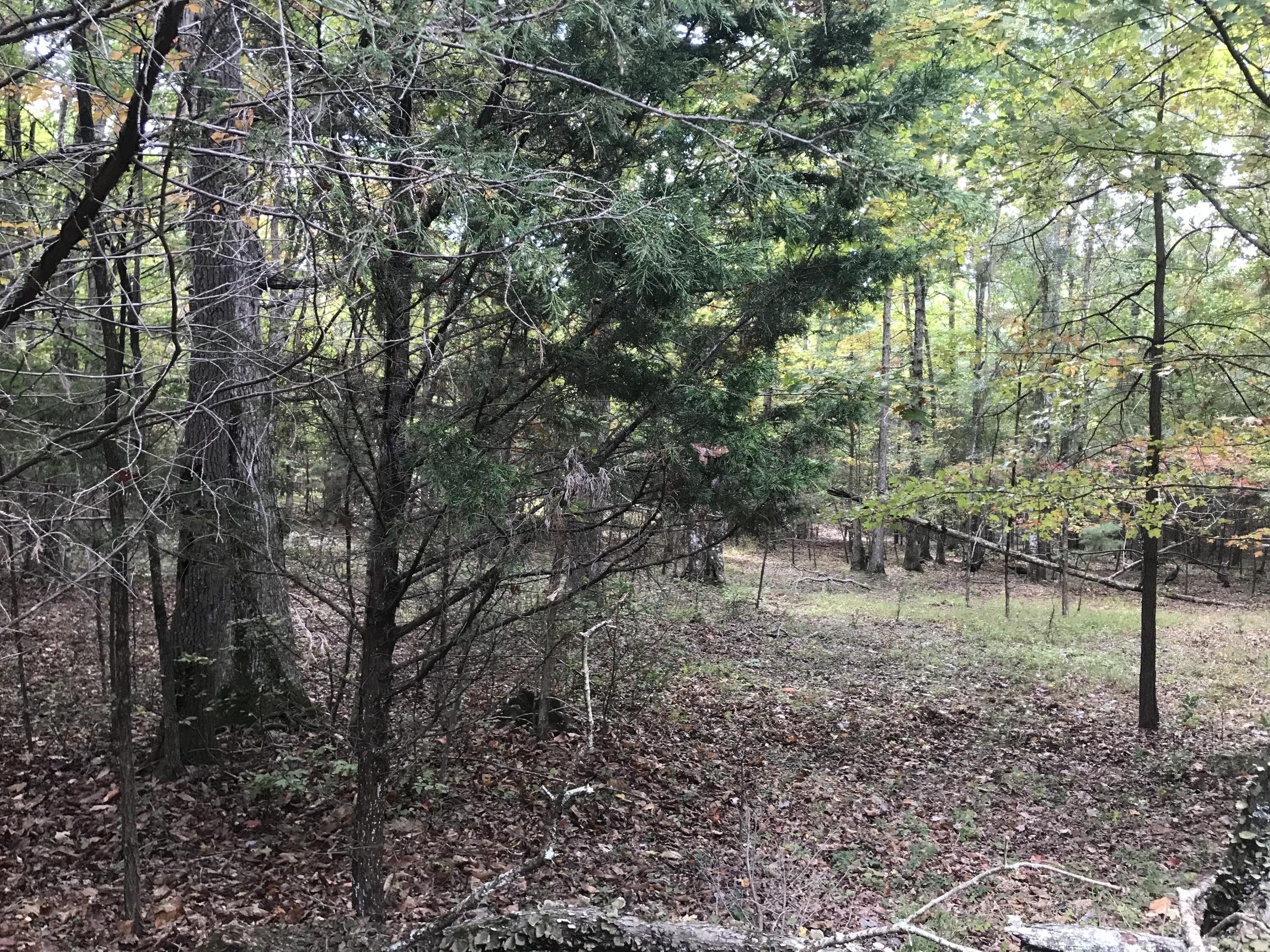 57 Deer Point Drive #57, Dunlap, Tennessee image 15