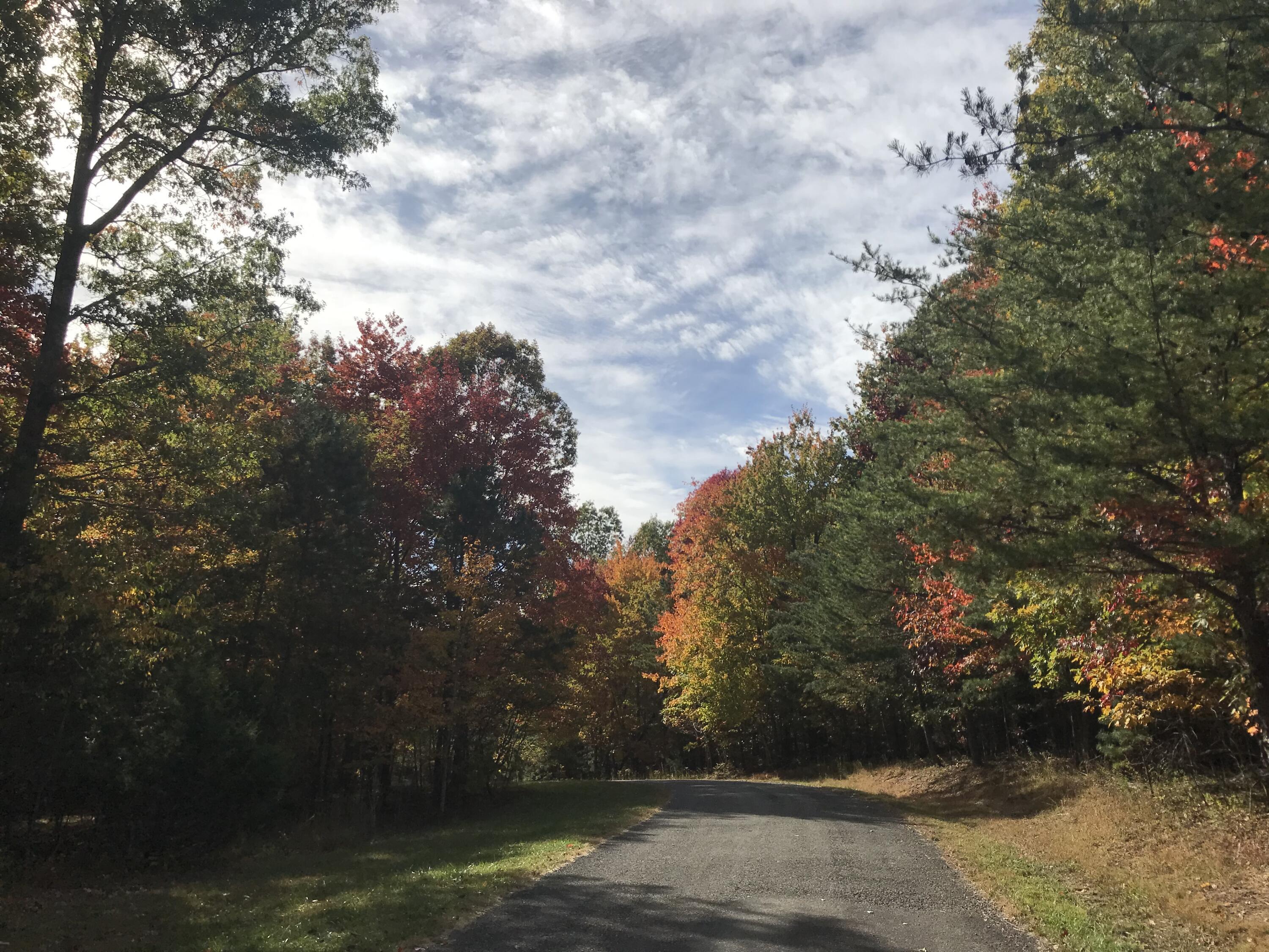 57 Deer Point Drive #57, Dunlap, Tennessee image 4