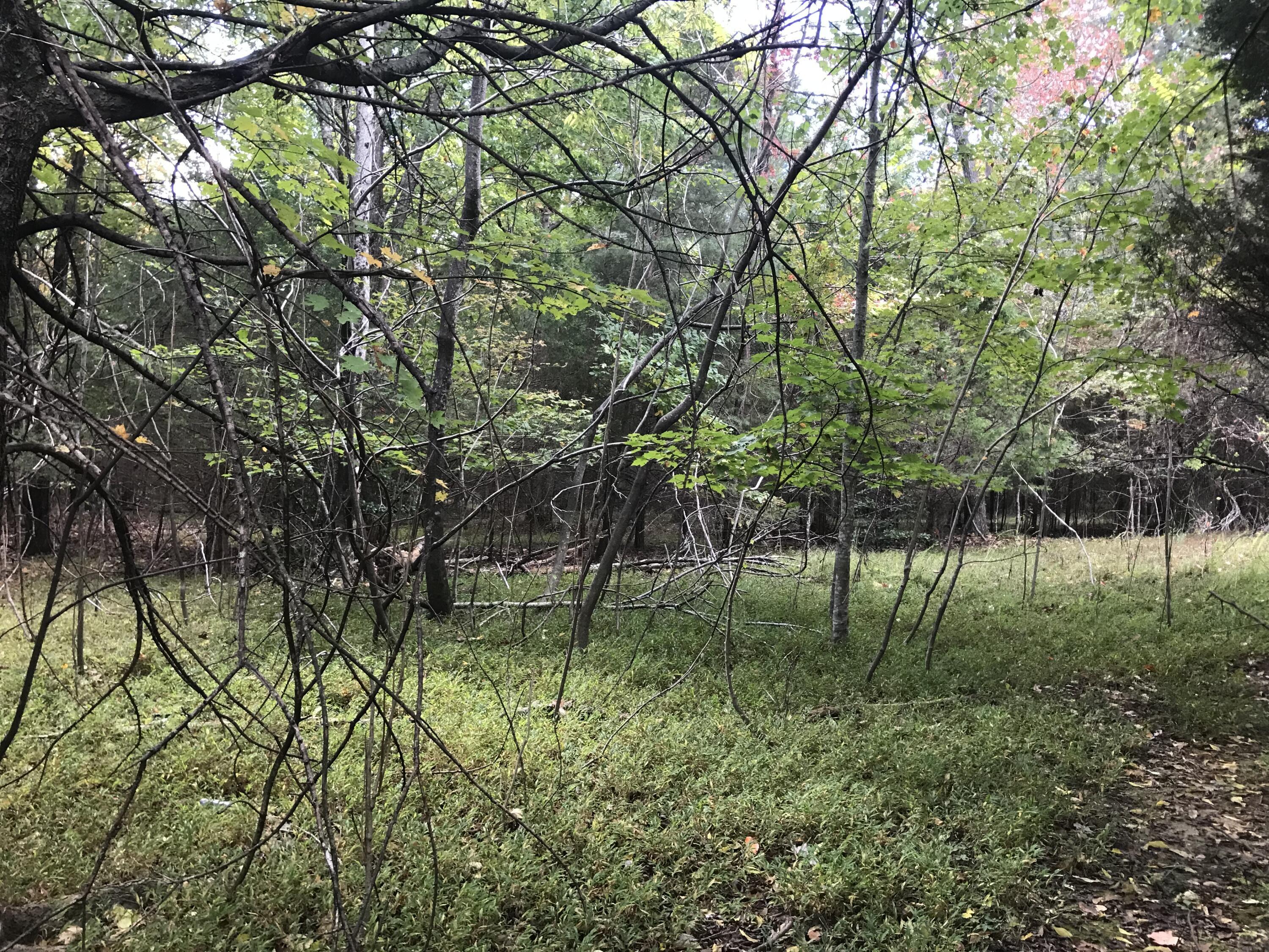 57 Deer Point Drive #57, Dunlap, Tennessee image 10