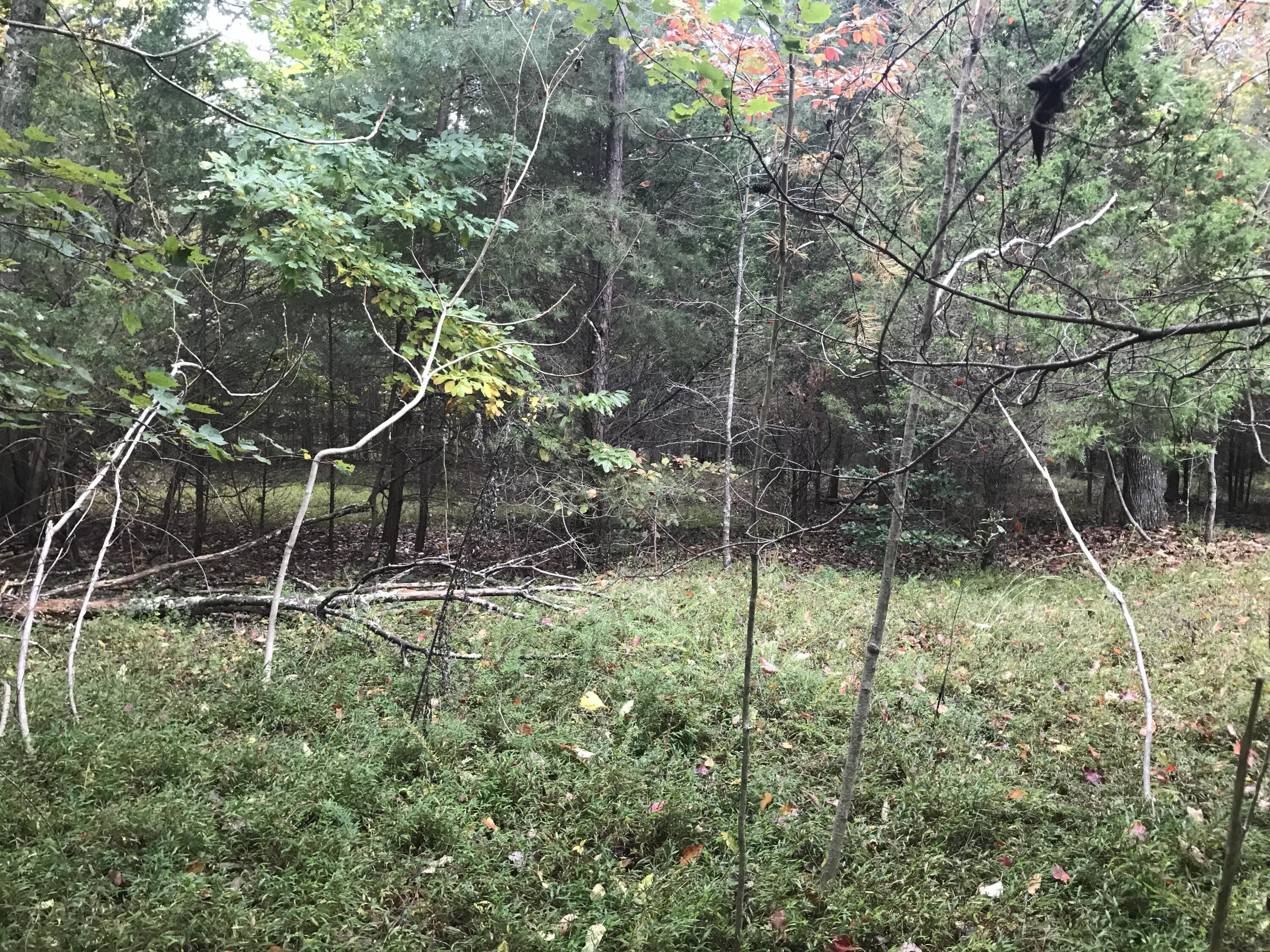 57 Deer Point Drive #57, Dunlap, Tennessee image 14