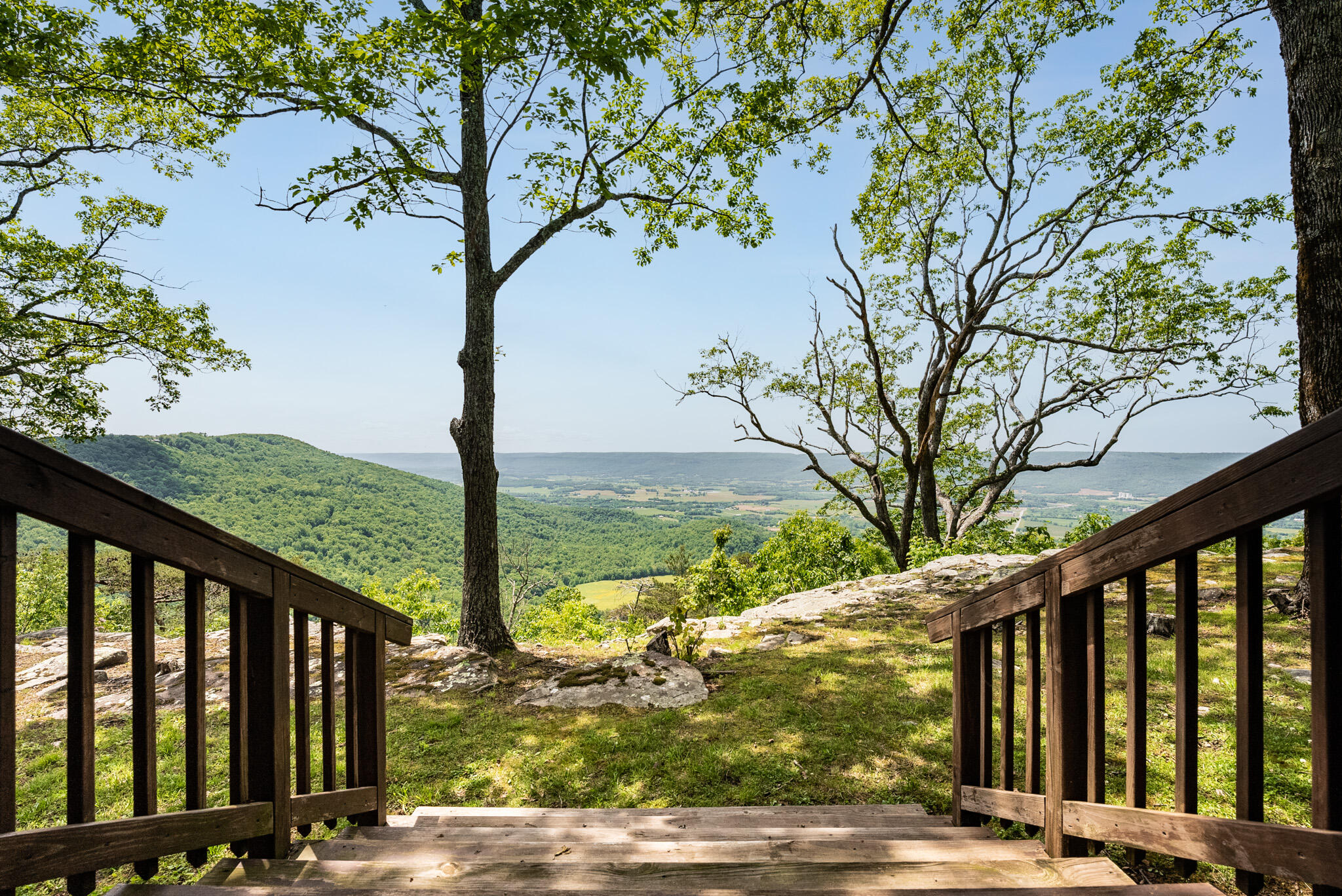 370 Blackburn Road, Pikeville, Tennessee image 16