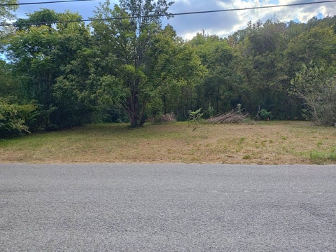 Vacant Land For Sale - 787 Pikeville Avenue<br/> Graysville, TN 37338