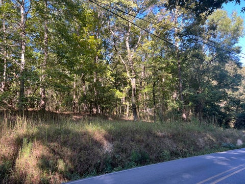 Vacant Land For Sale - 00 Rocky Hollow Road<br/> Summerville, GA 30747