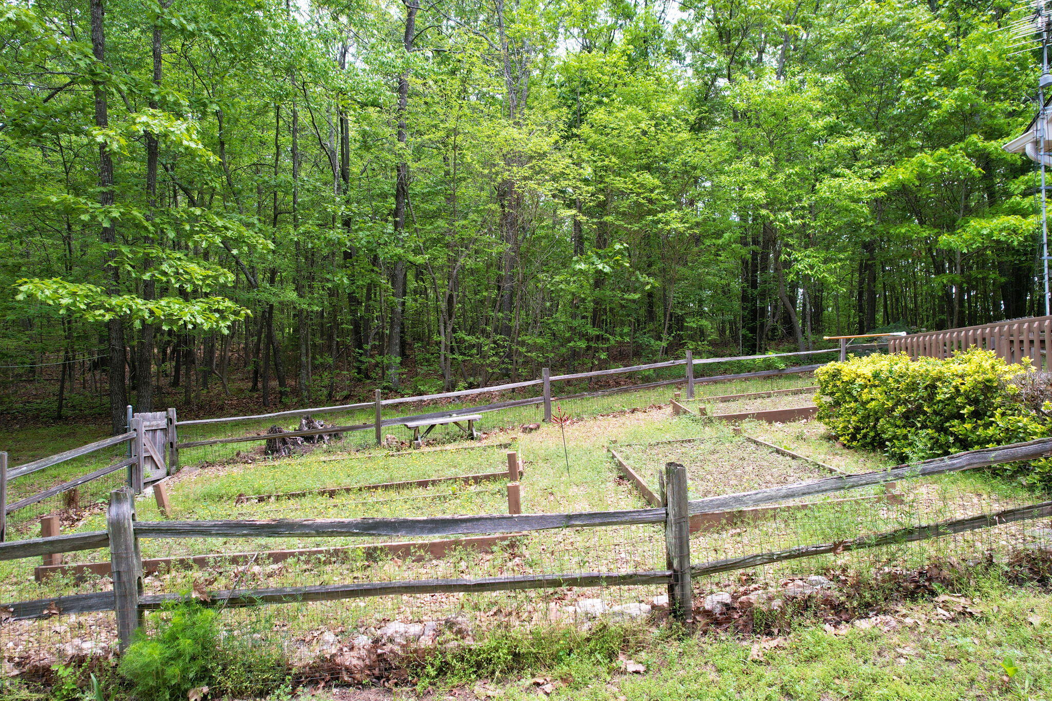 100 Treeann Lane, Ringgold, Georgia image 35