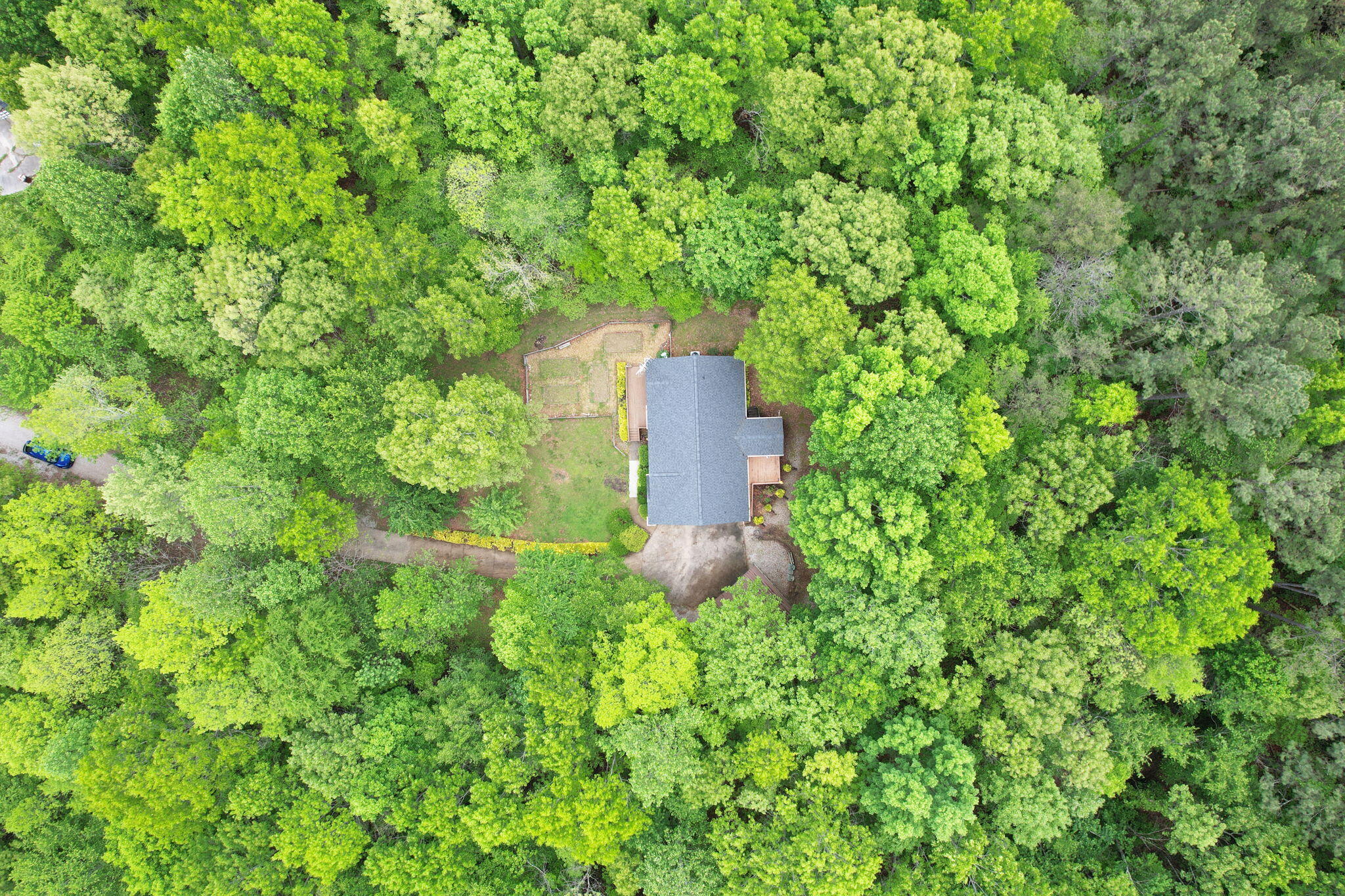 100 Treeann Lane, Ringgold, Georgia image 36