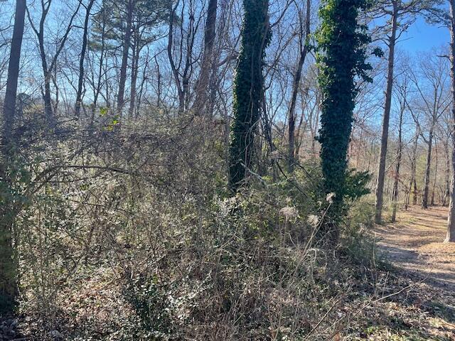6821 Lakeshore Drive, Chattanooga, Tennessee image 2