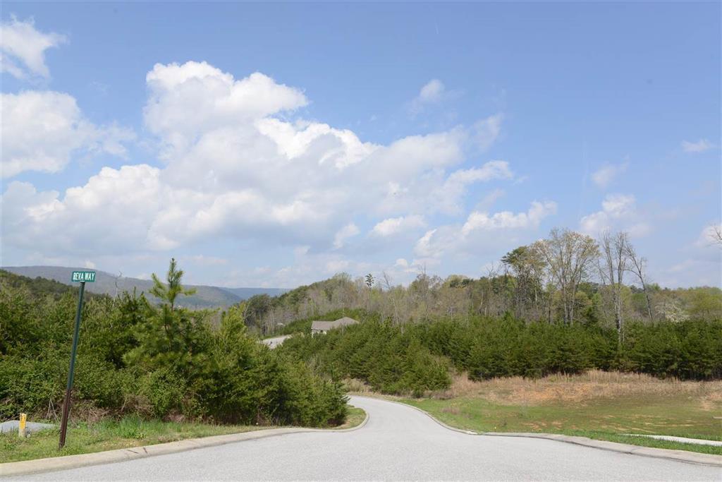 132 Nicole Drive, Dayton, Tennessee image 7