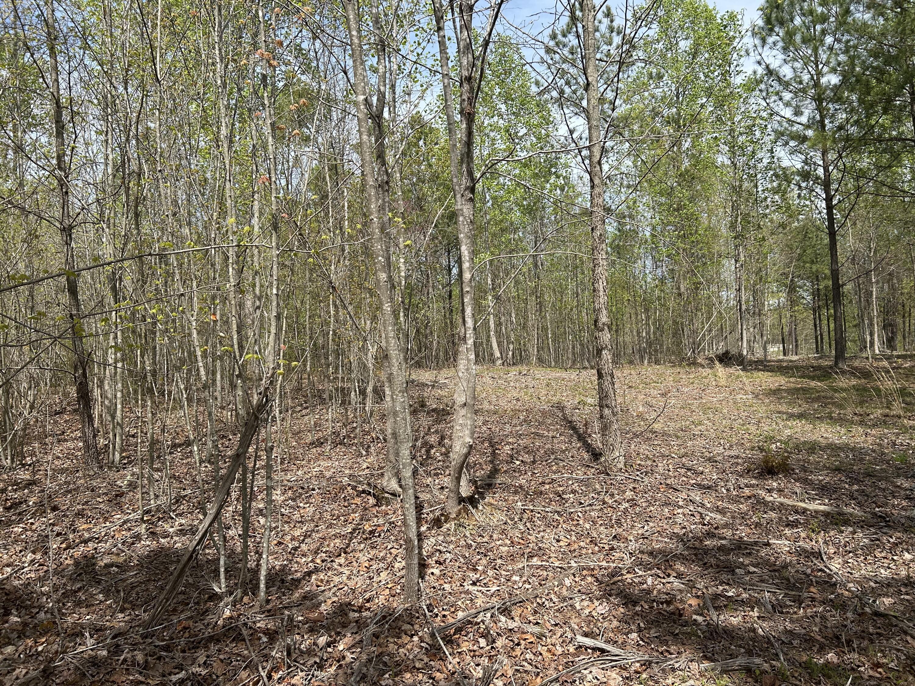 6390 Raulston Falls Road #JF-094, Jasper, Tennessee image 9