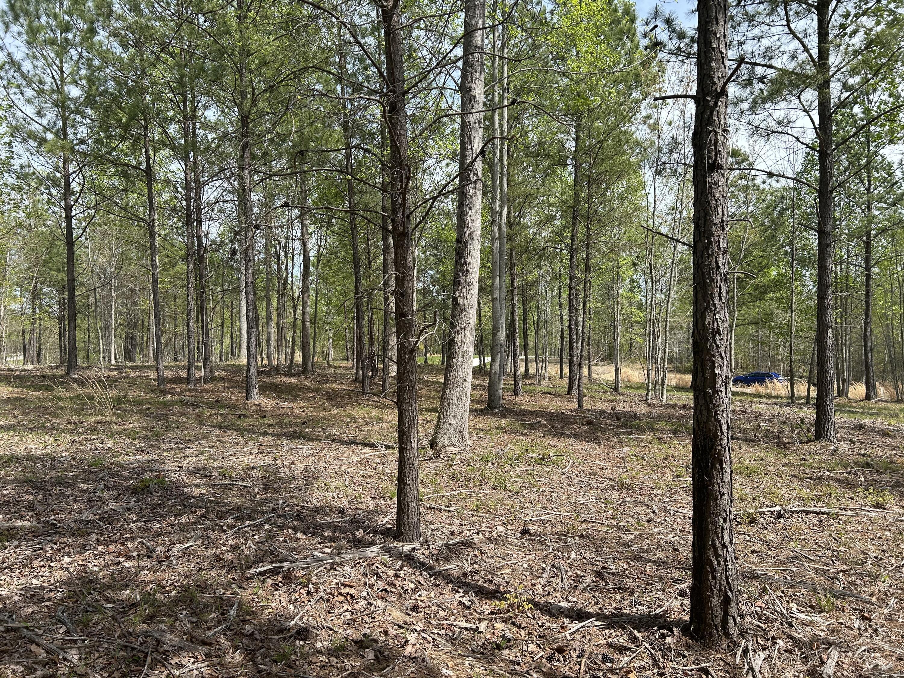6390 Raulston Falls Road #JF-094, Jasper, Tennessee image 10