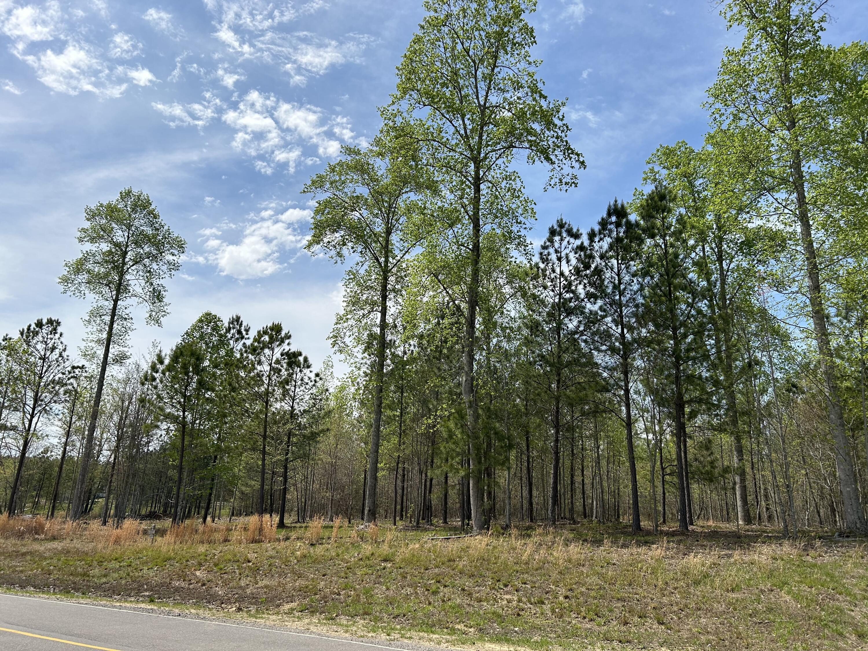 6390 Raulston Falls Road #JF-094, Jasper, Tennessee image 6