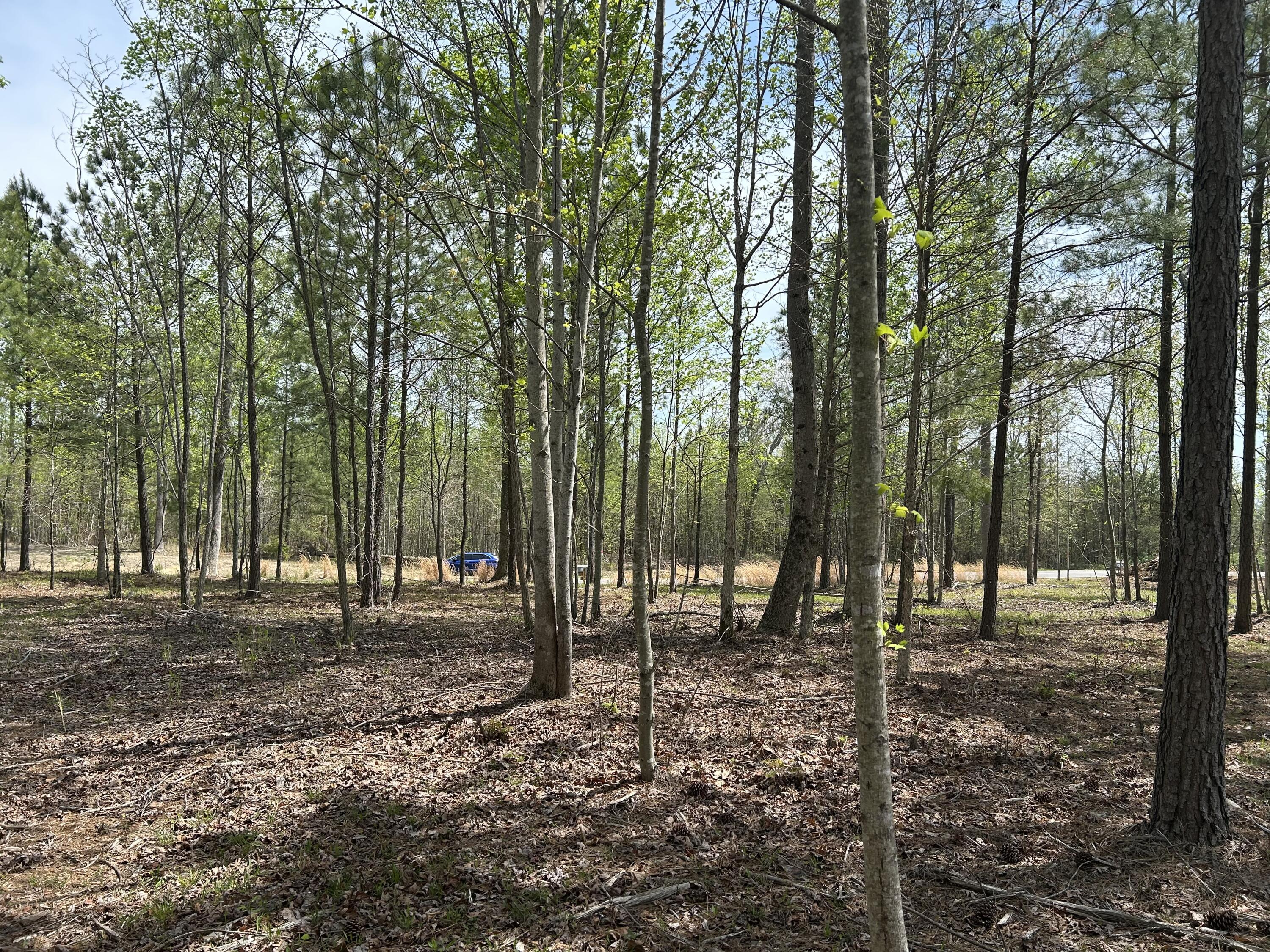 6390 Raulston Falls Road #JF-094, Jasper, Tennessee image 12