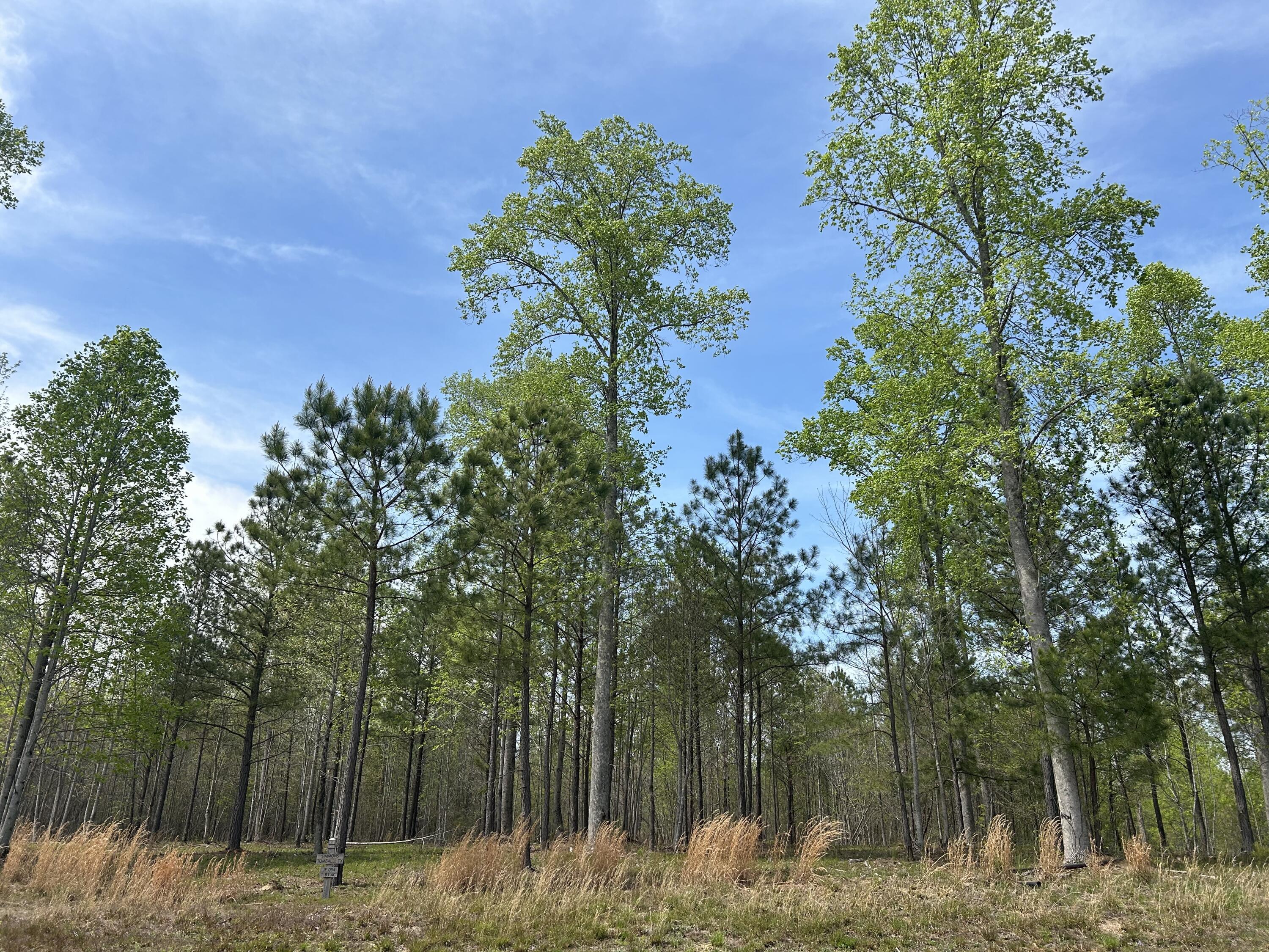 6390 Raulston Falls Road #JF-094, Jasper, Tennessee image 21
