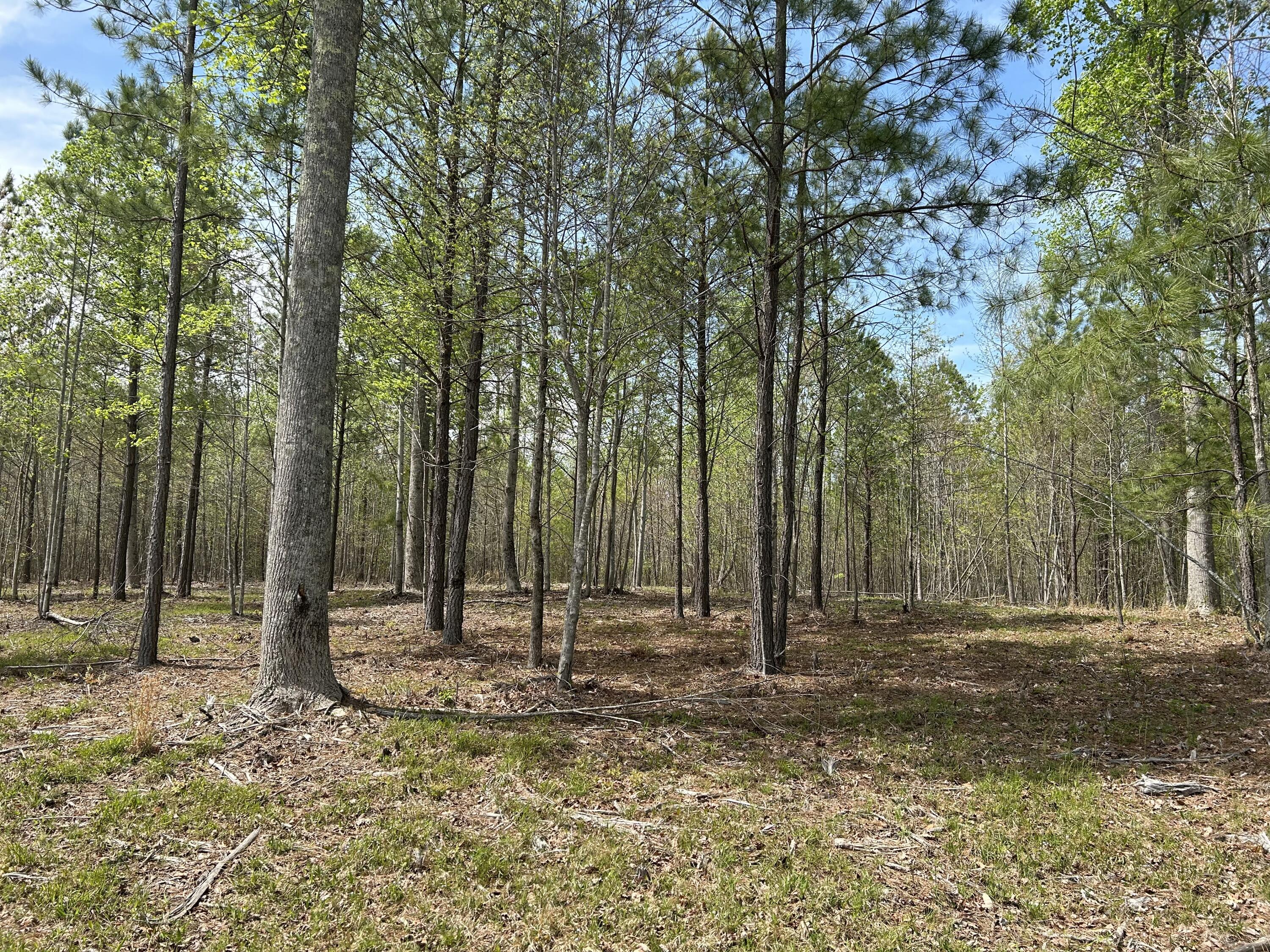 6390 Raulston Falls Road #JF-094, Jasper, Tennessee image 18