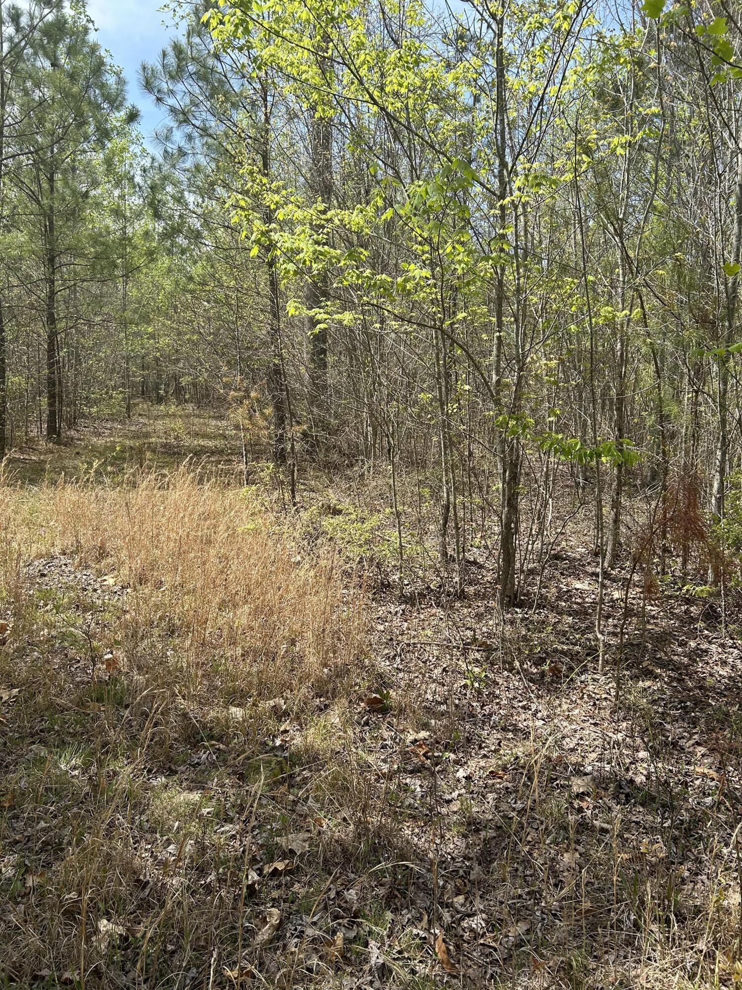 6390 Raulston Falls Road #JF-094, Jasper, Tennessee image 14