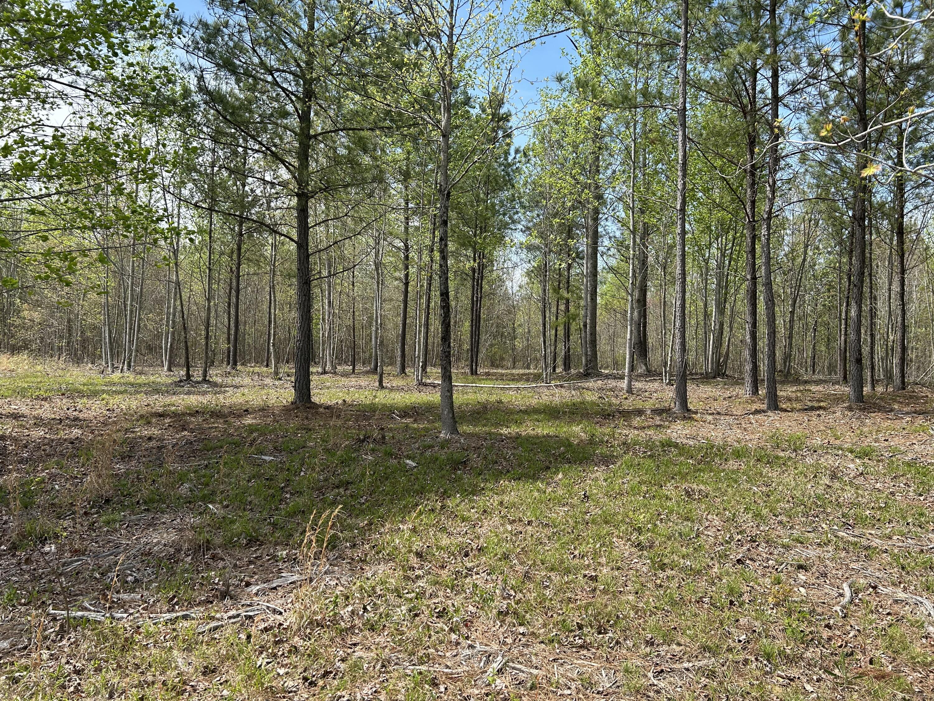 6390 Raulston Falls Road #JF-094, Jasper, Tennessee image 20
