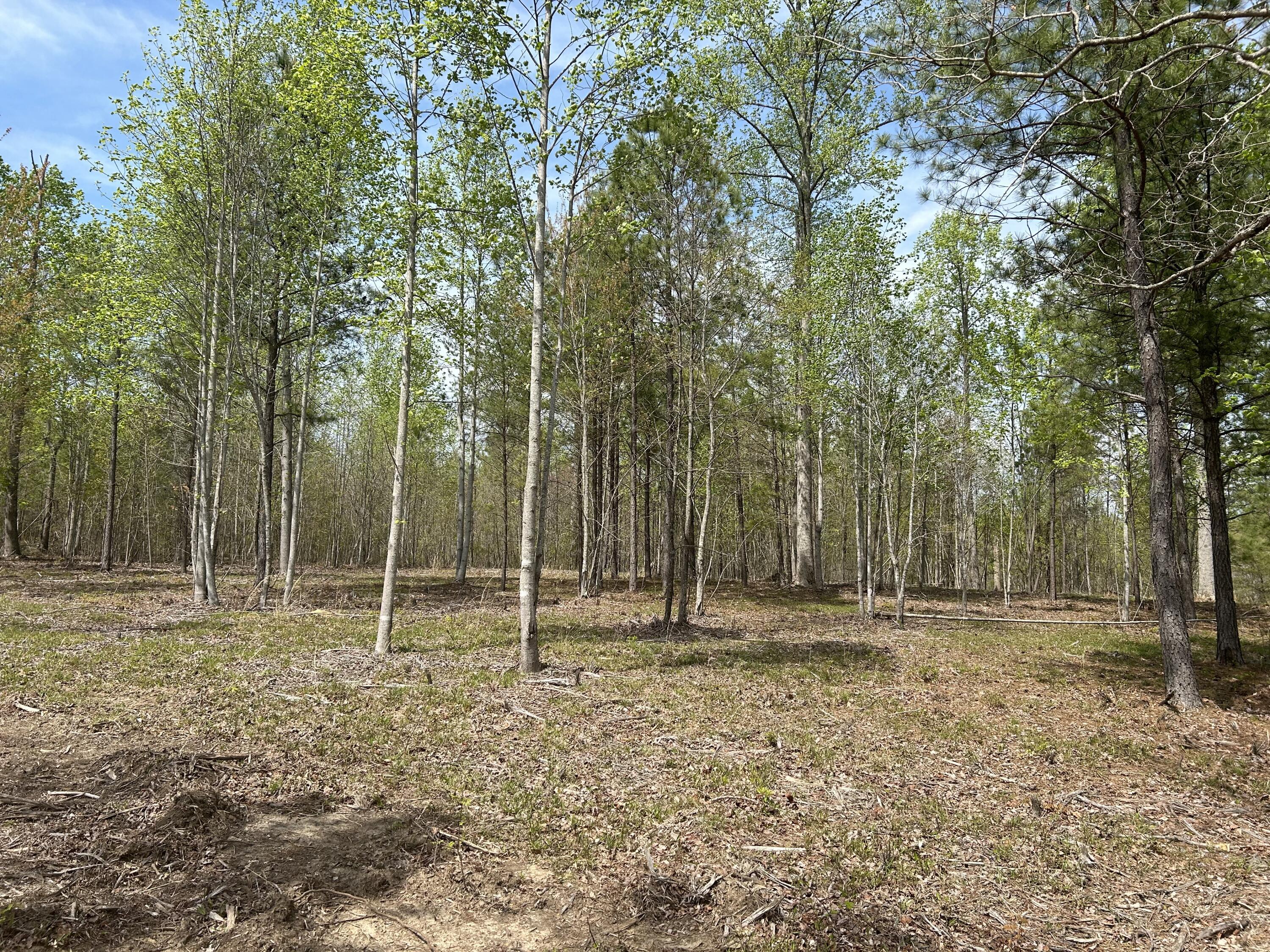 6390 Raulston Falls Road #JF-094, Jasper, Tennessee image 7