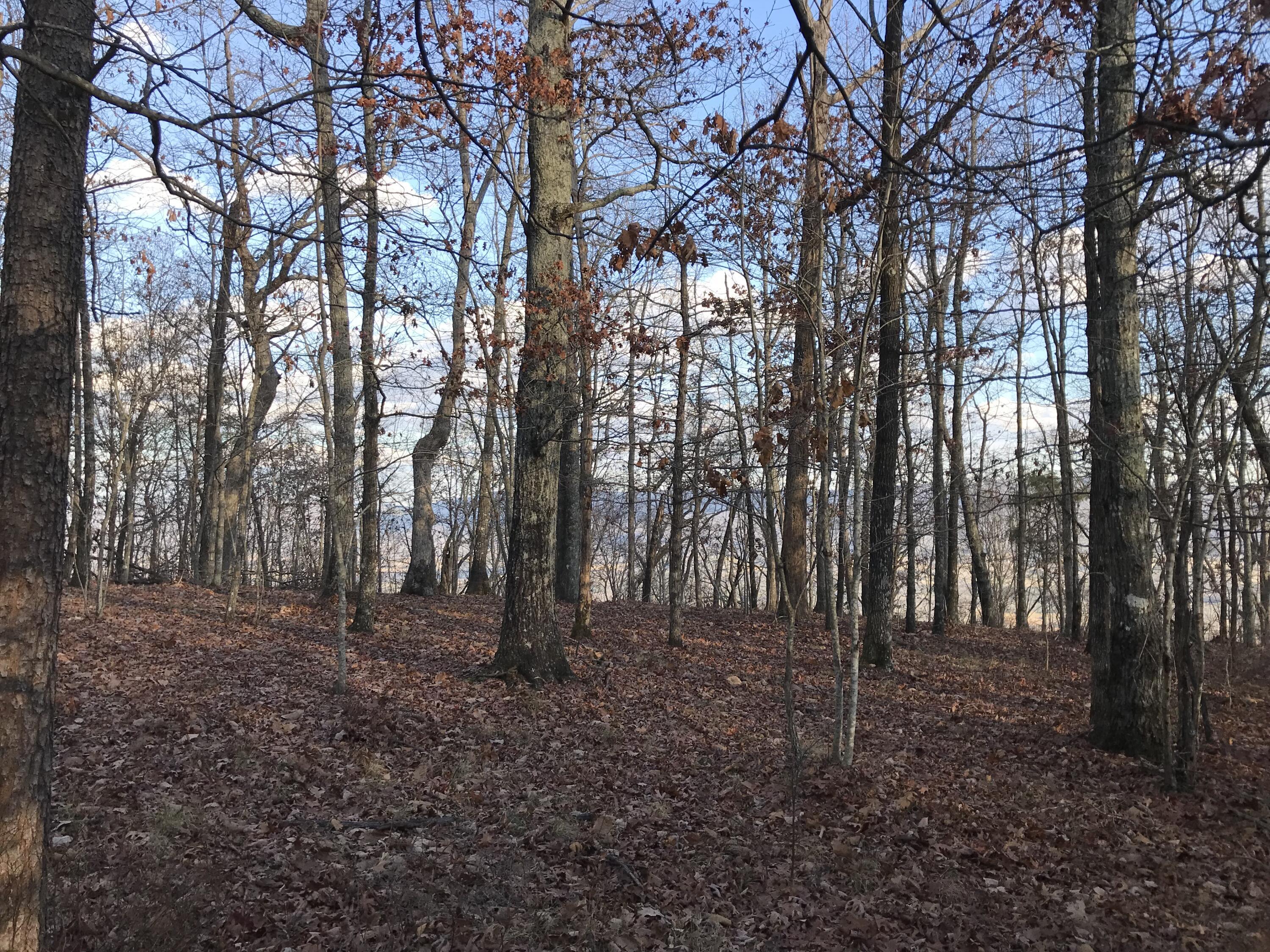 1 Vista View Drive, Dunlap, Tennessee image 11