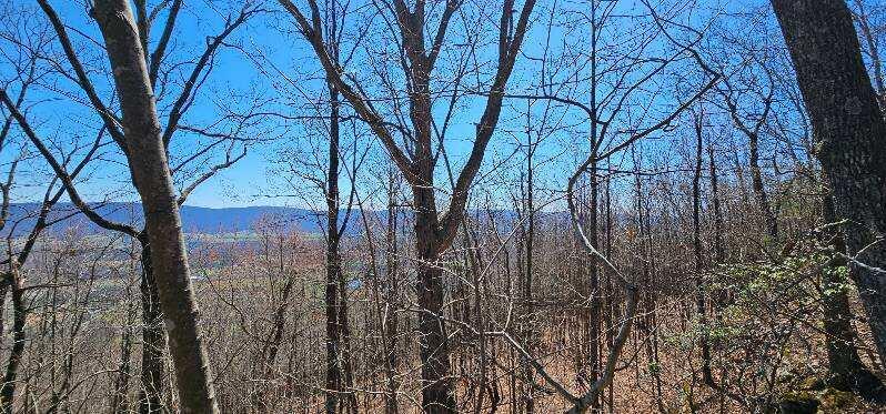 1 Vista View Drive, Dunlap, Tennessee image 29