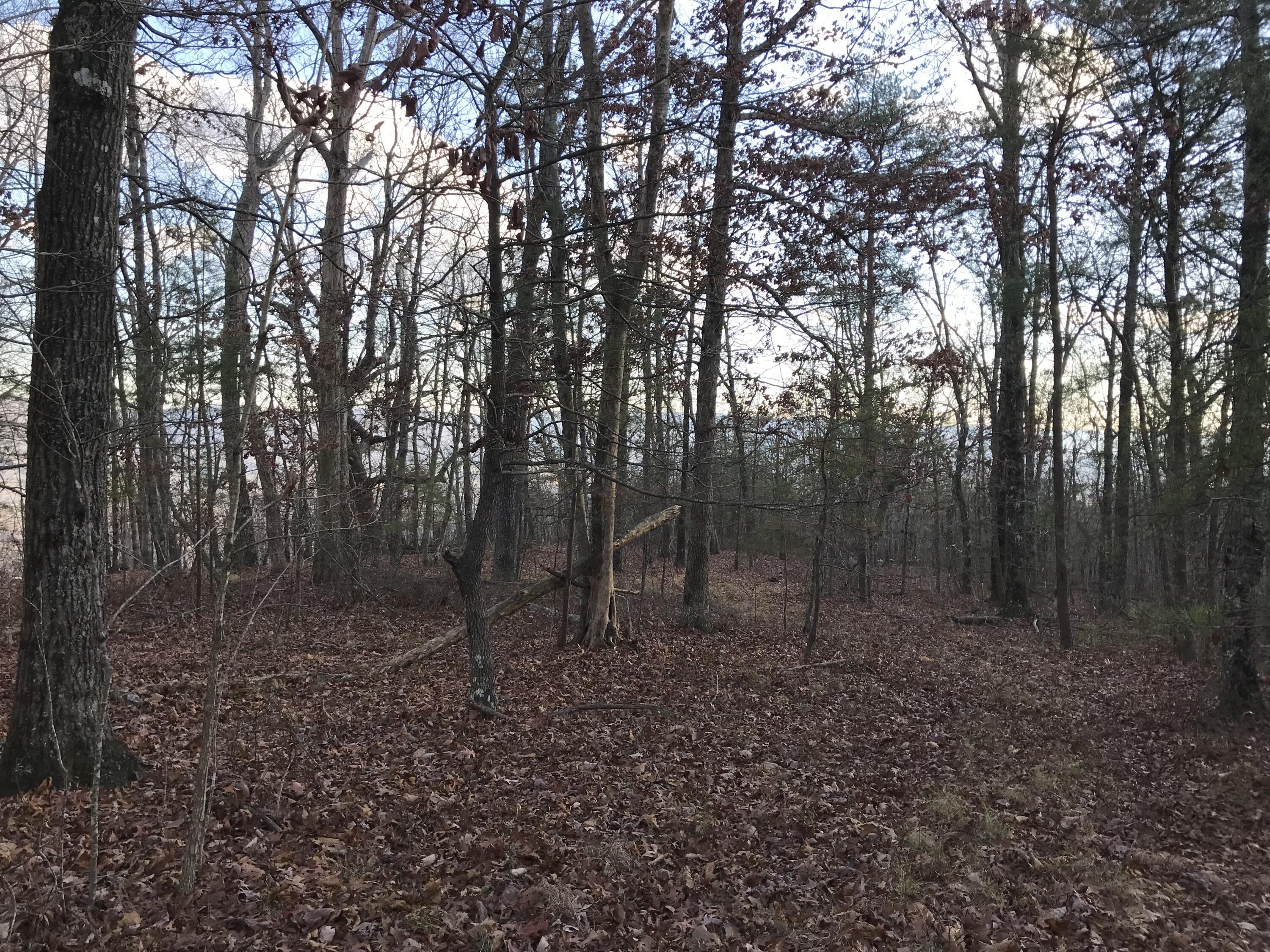 1 Vista View Drive, Dunlap, Tennessee image 24