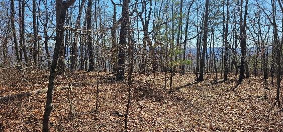 1 Vista View Drive, Dunlap, Tennessee image 36