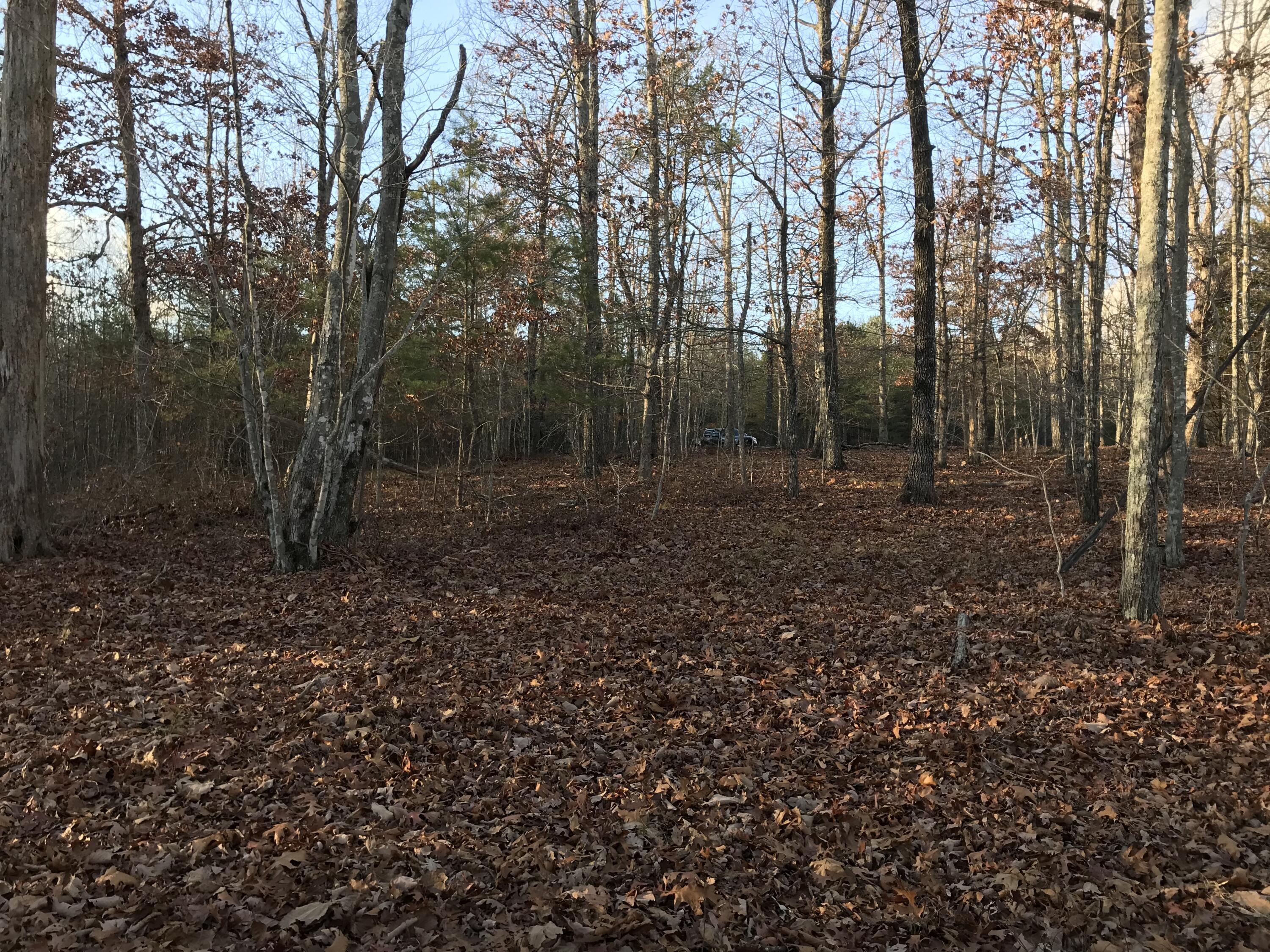 1 Vista View Drive, Dunlap, Tennessee image 6